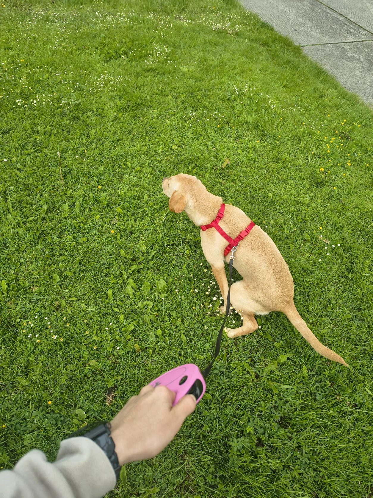 image-9