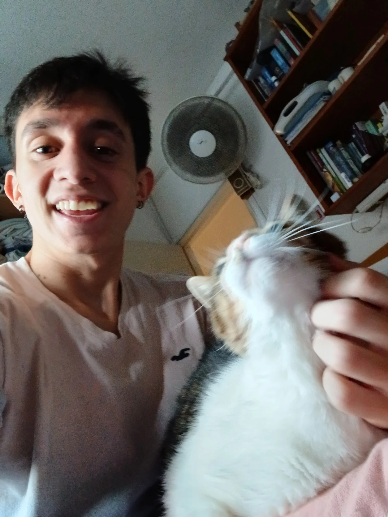 image-4