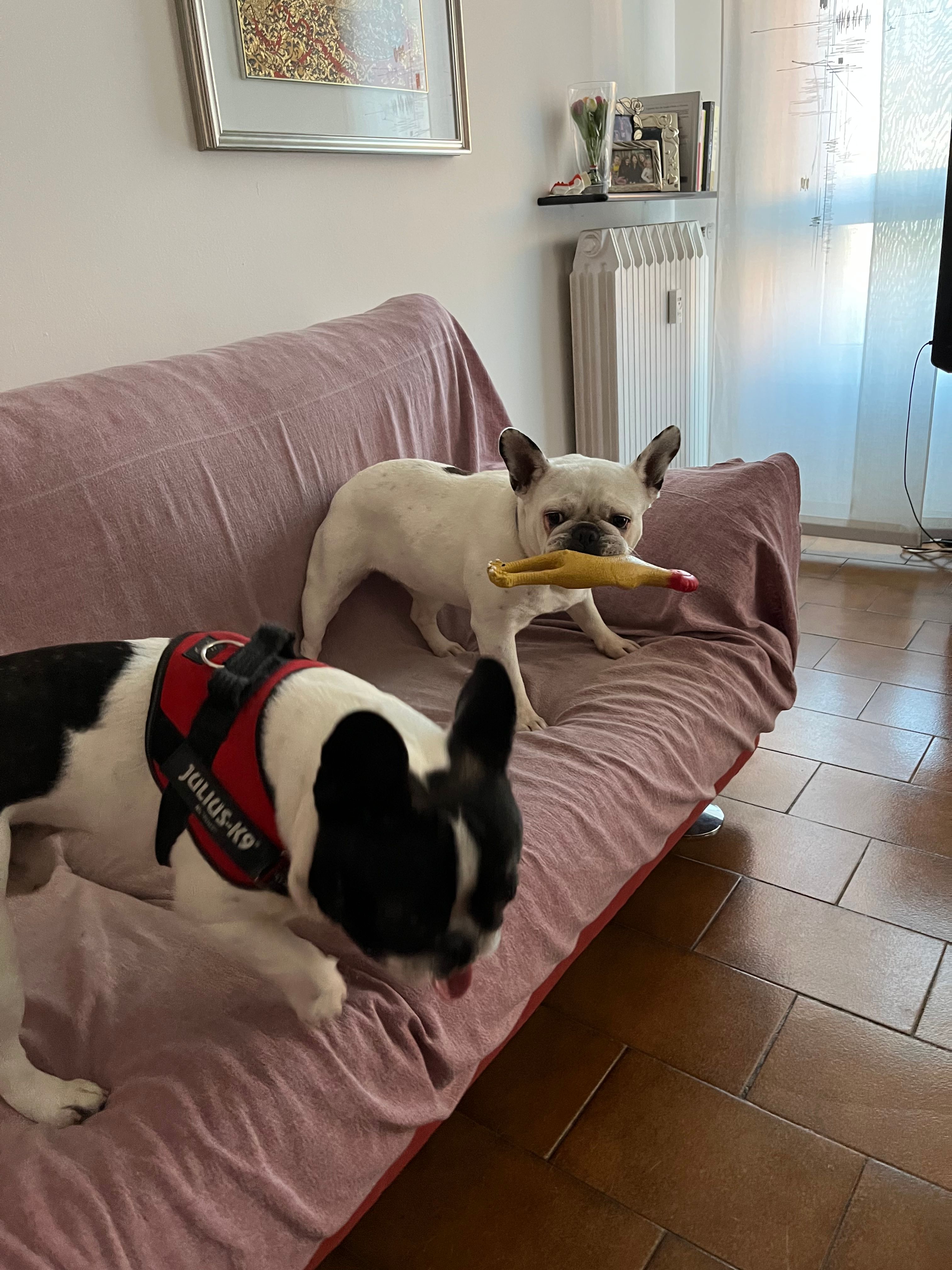 image-12