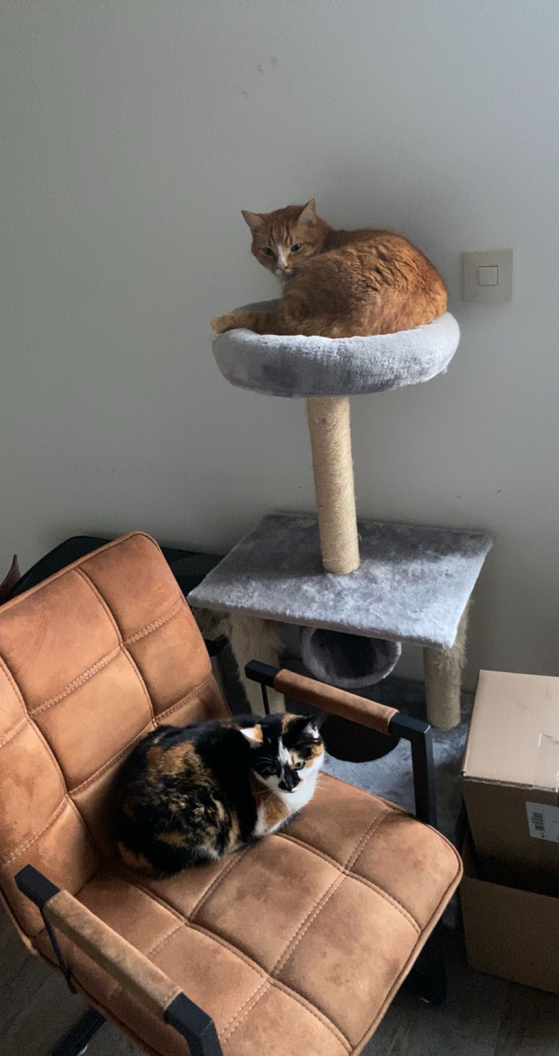 image-16
