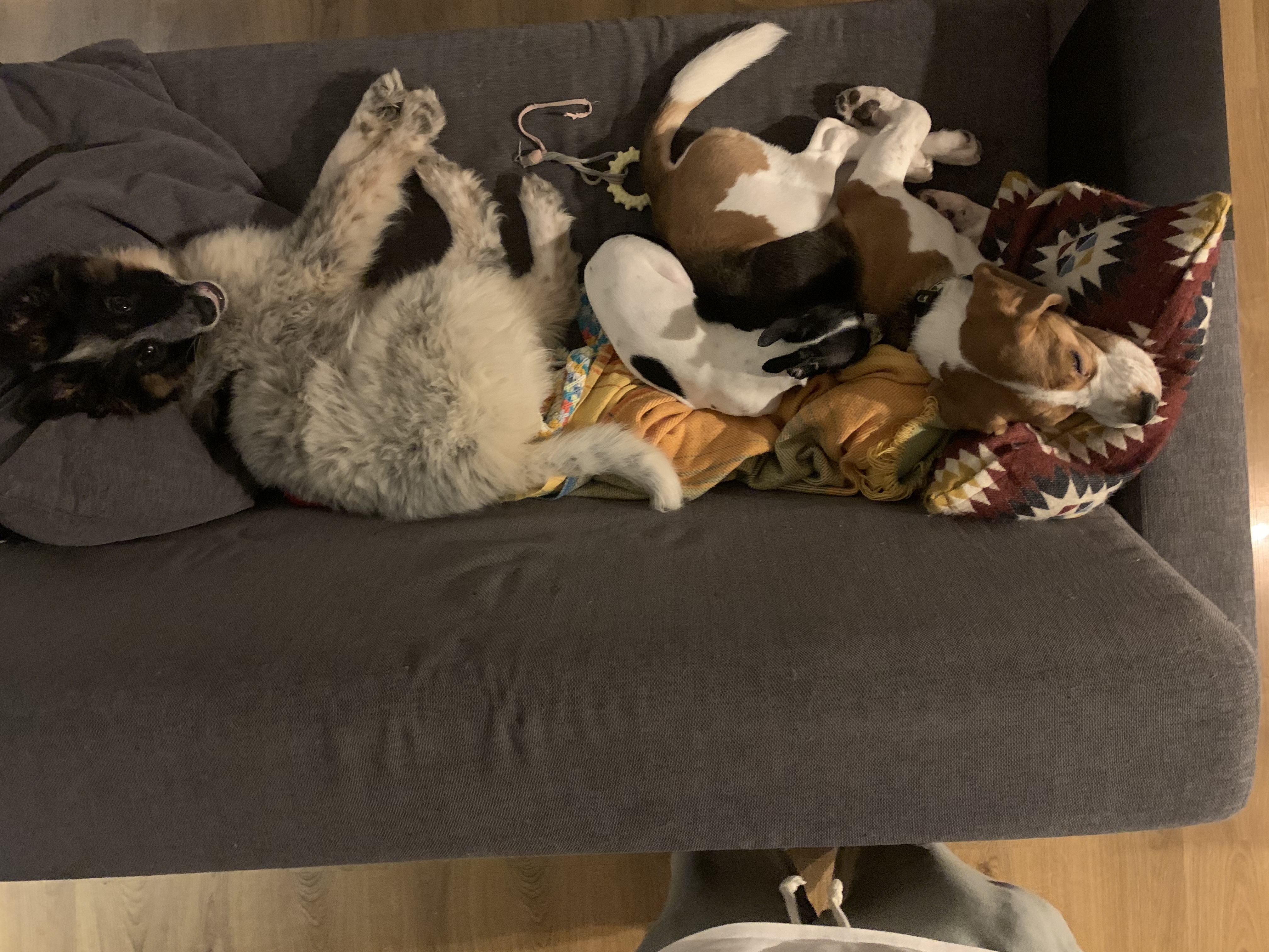 image-6