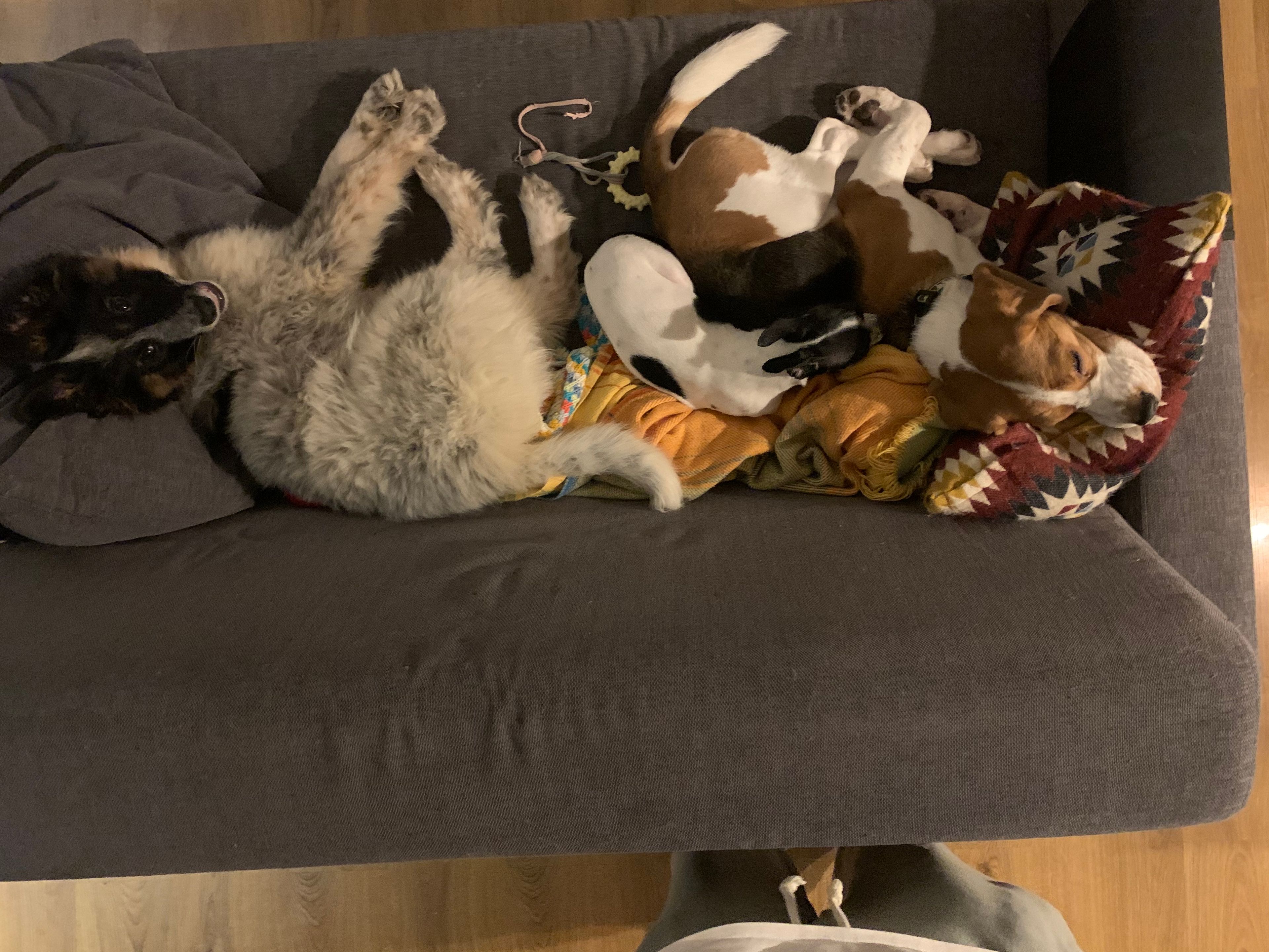 image-6