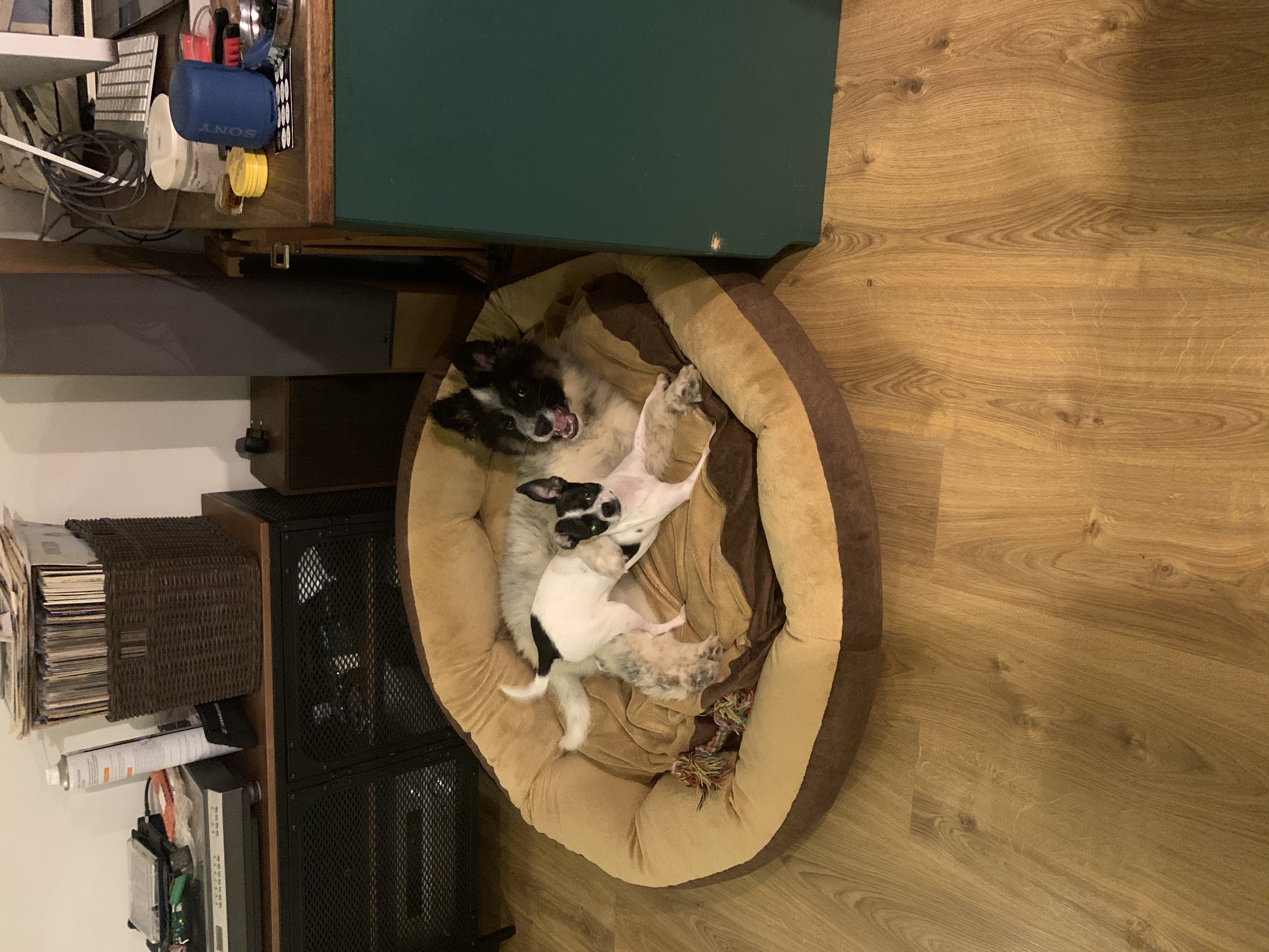 image-4
