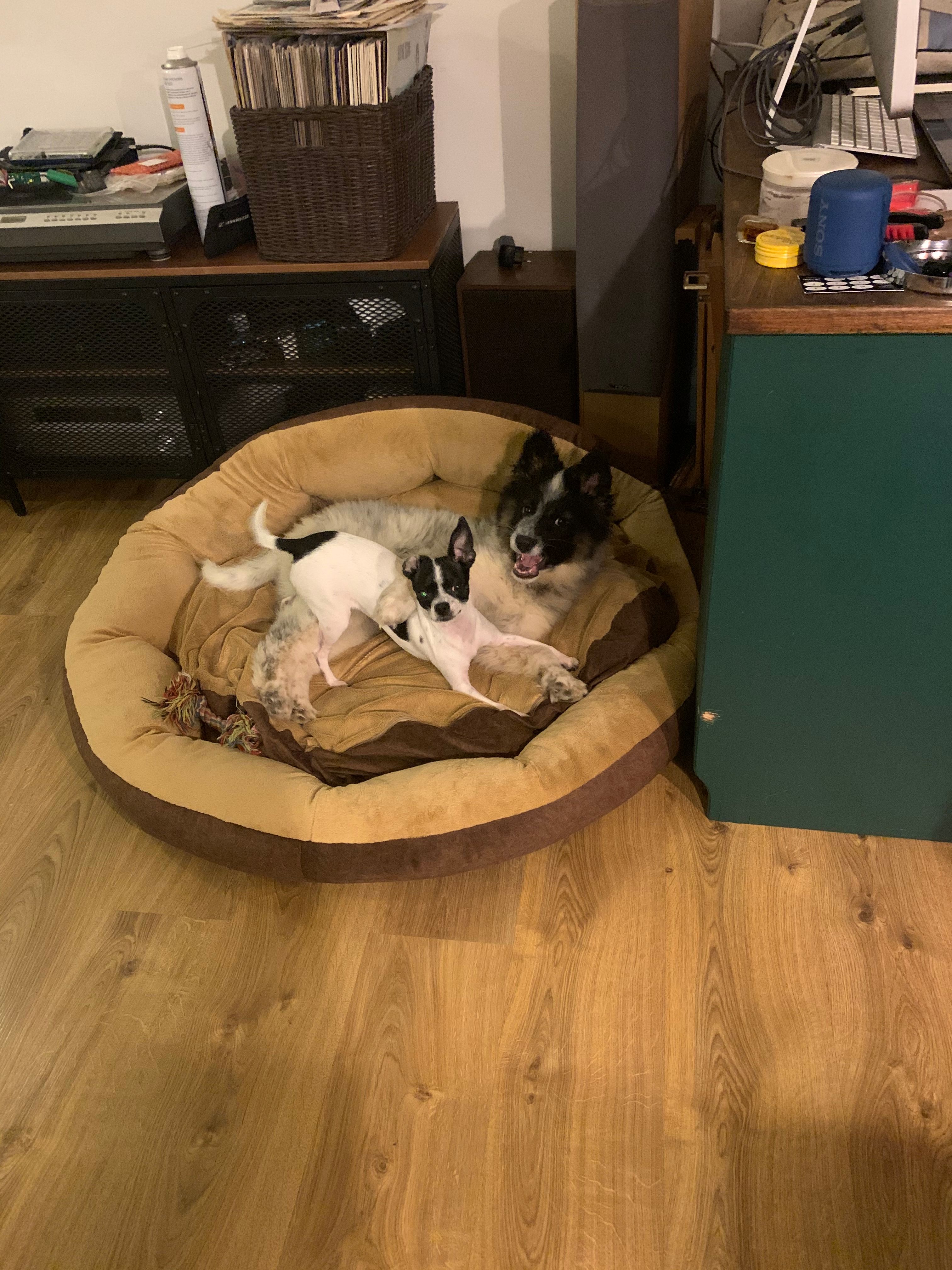 image-4