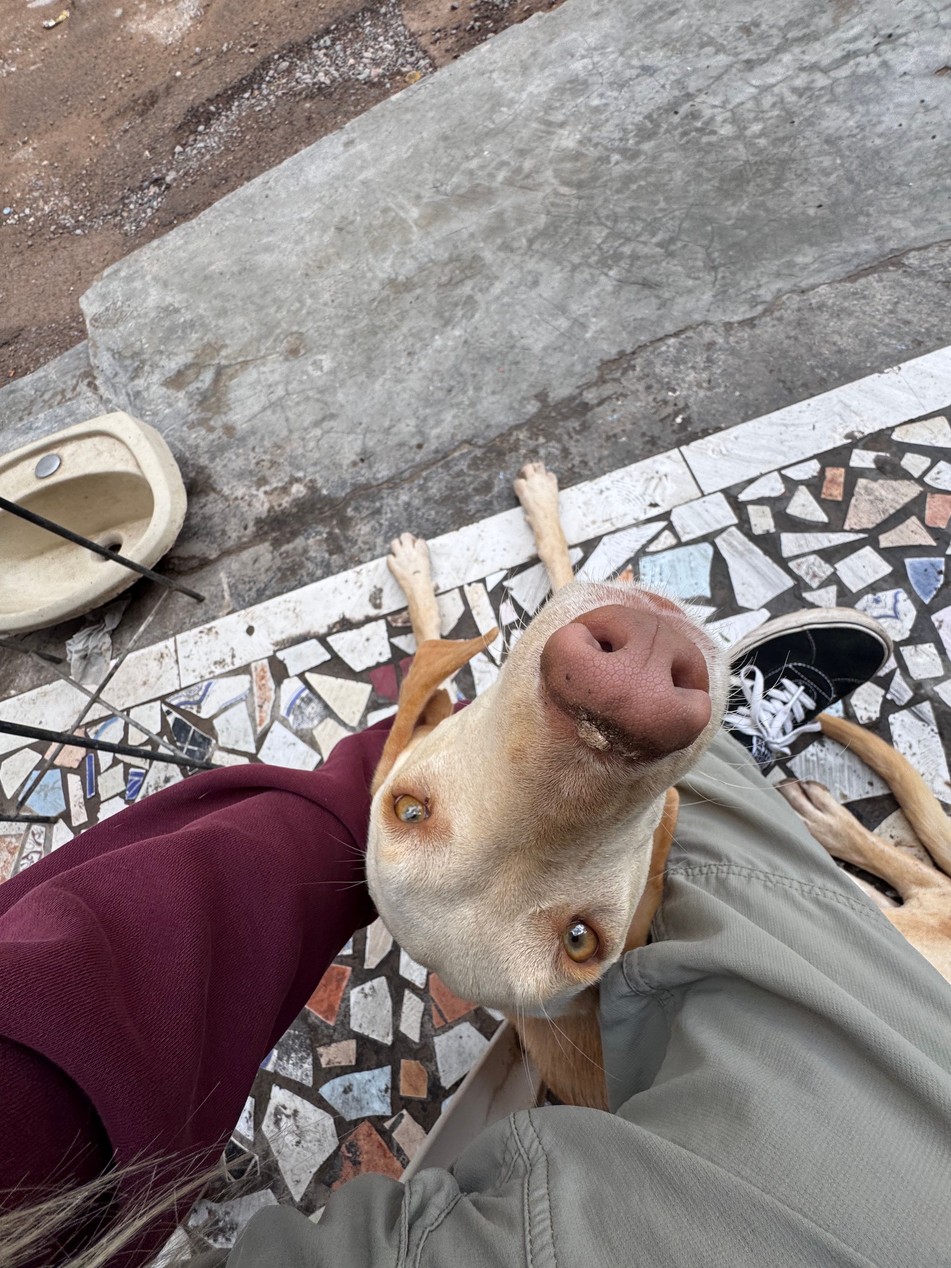 image-6