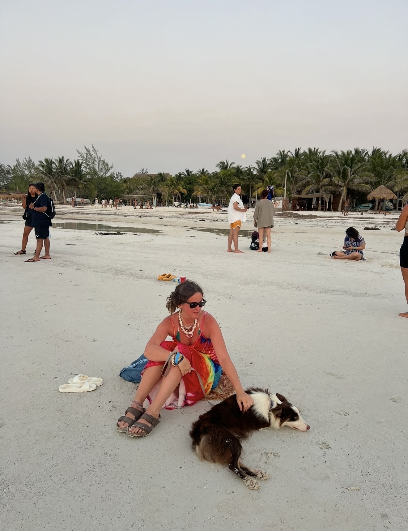 image-12