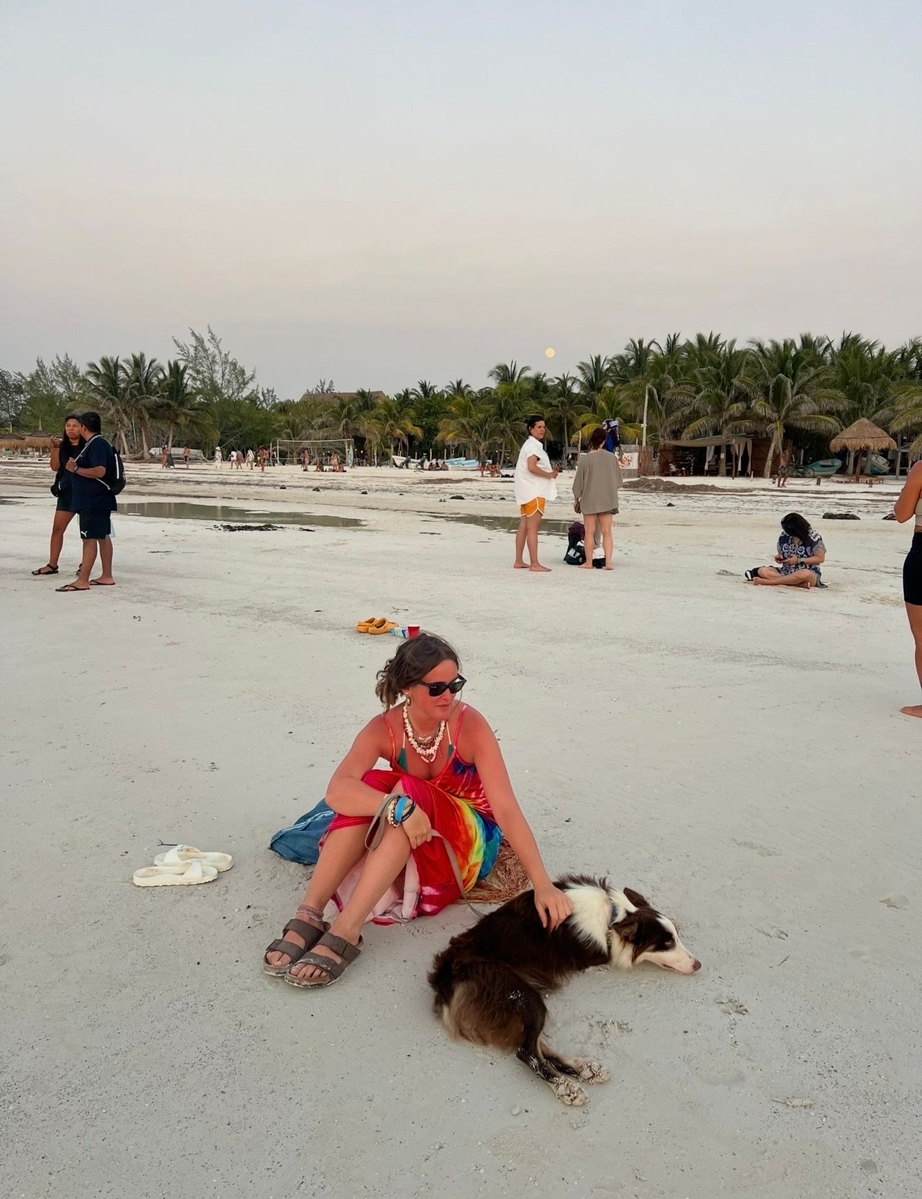 image-12