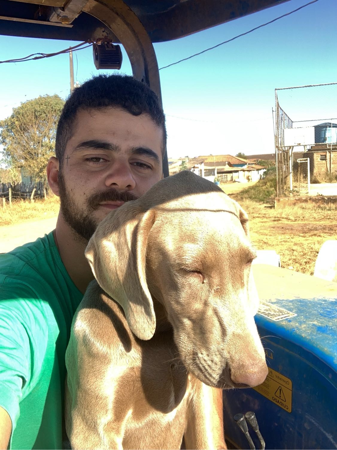 image-6