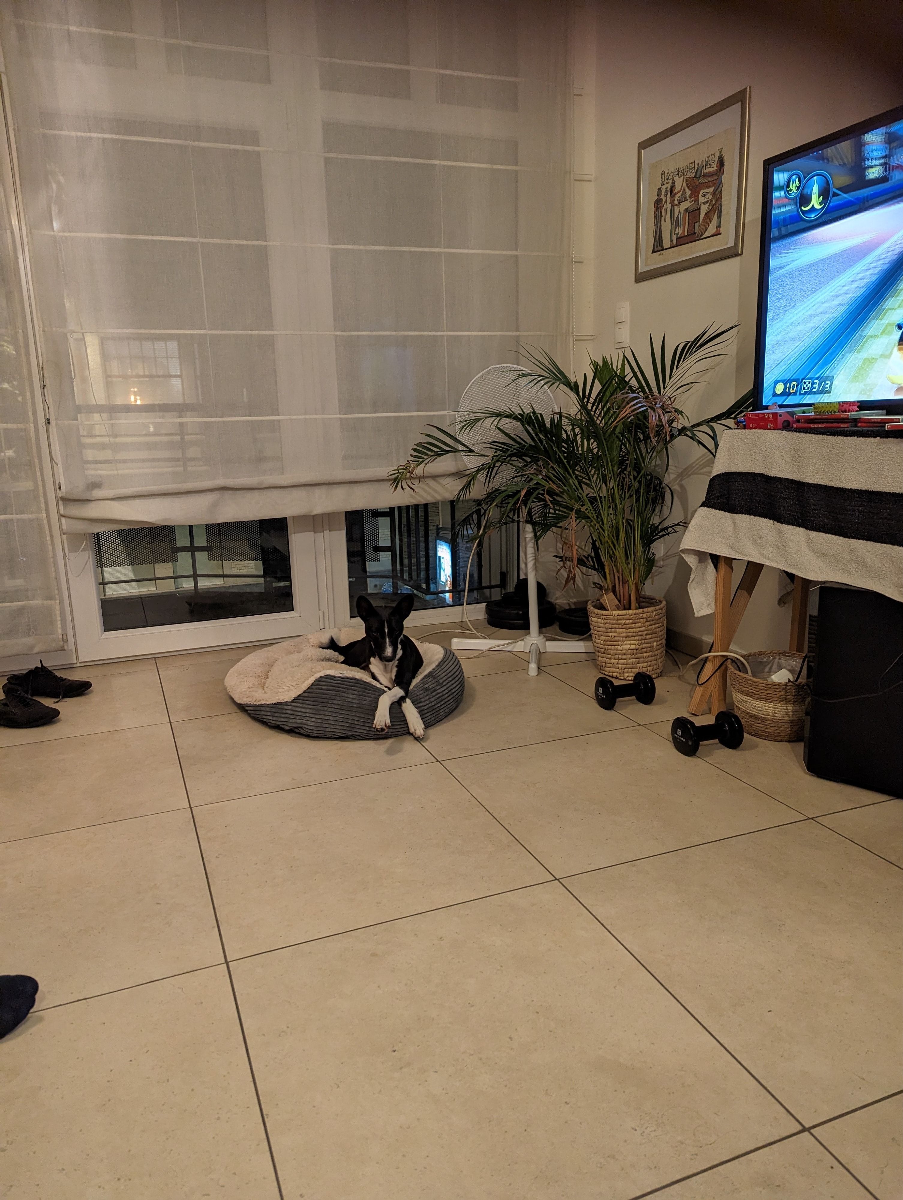 image-6