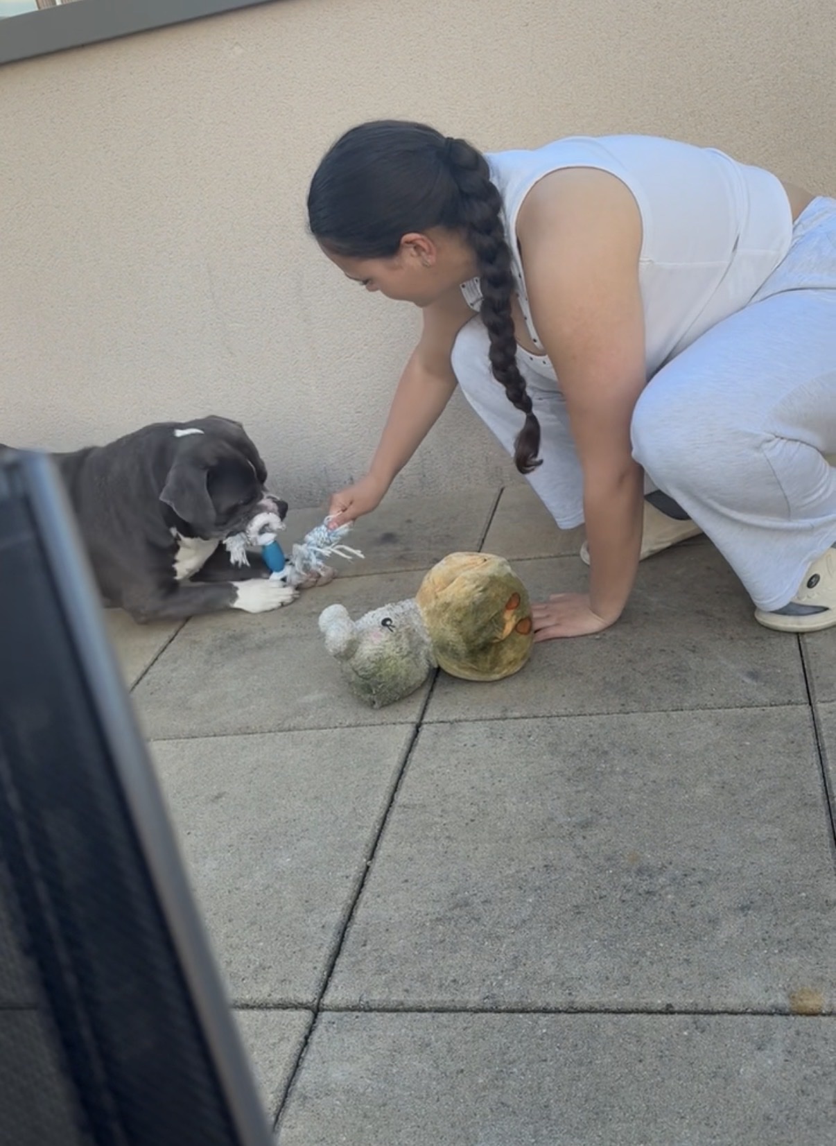 image-6