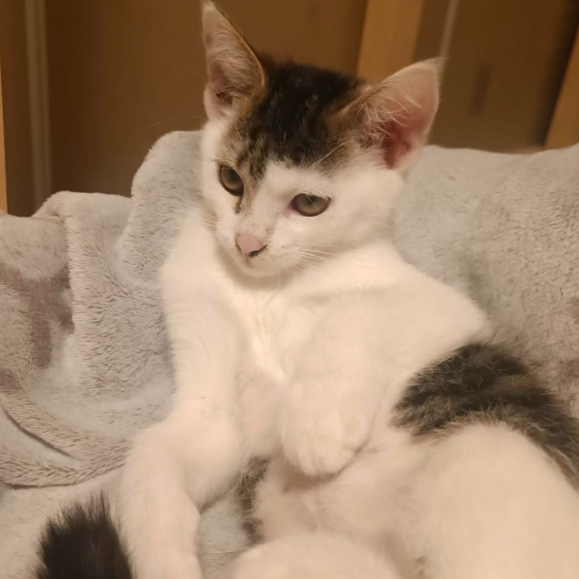 winnie
