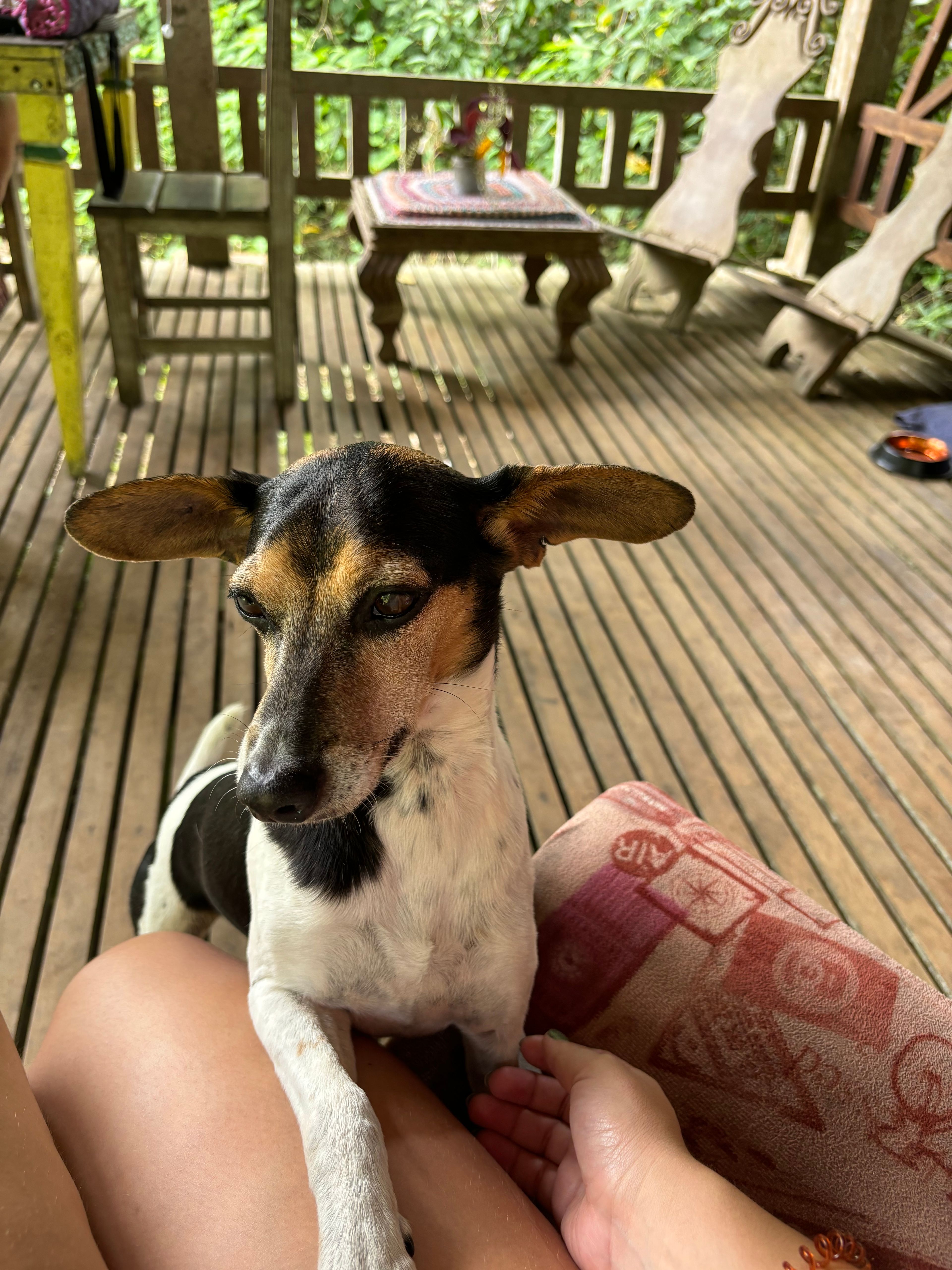image-6