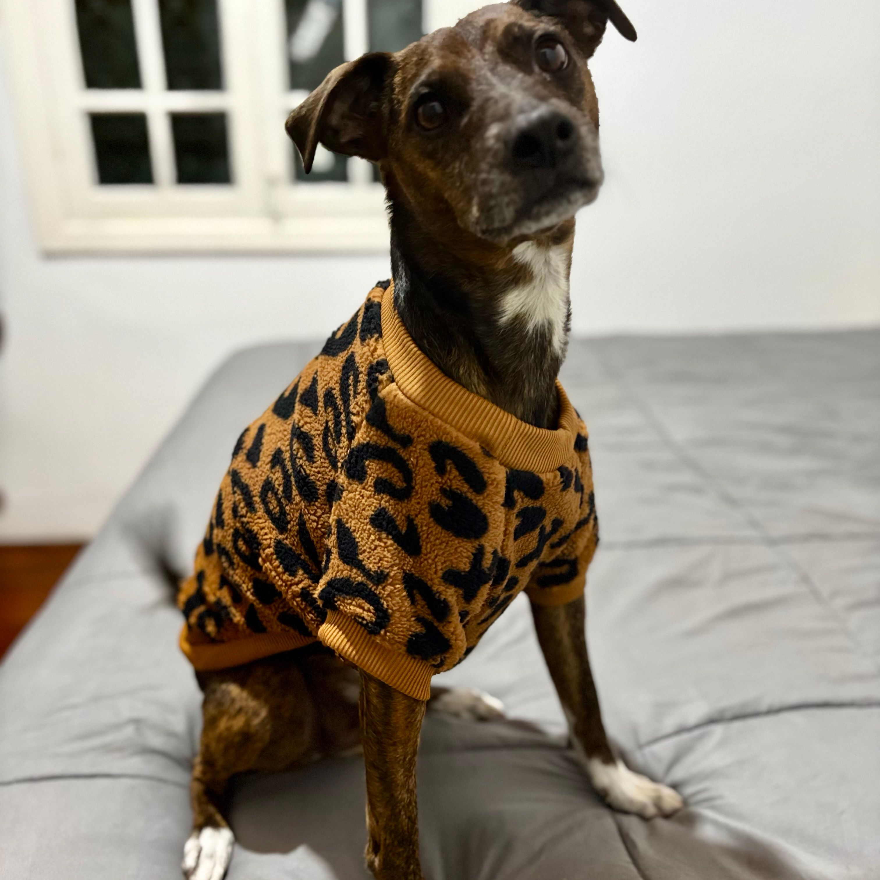 Joaquim