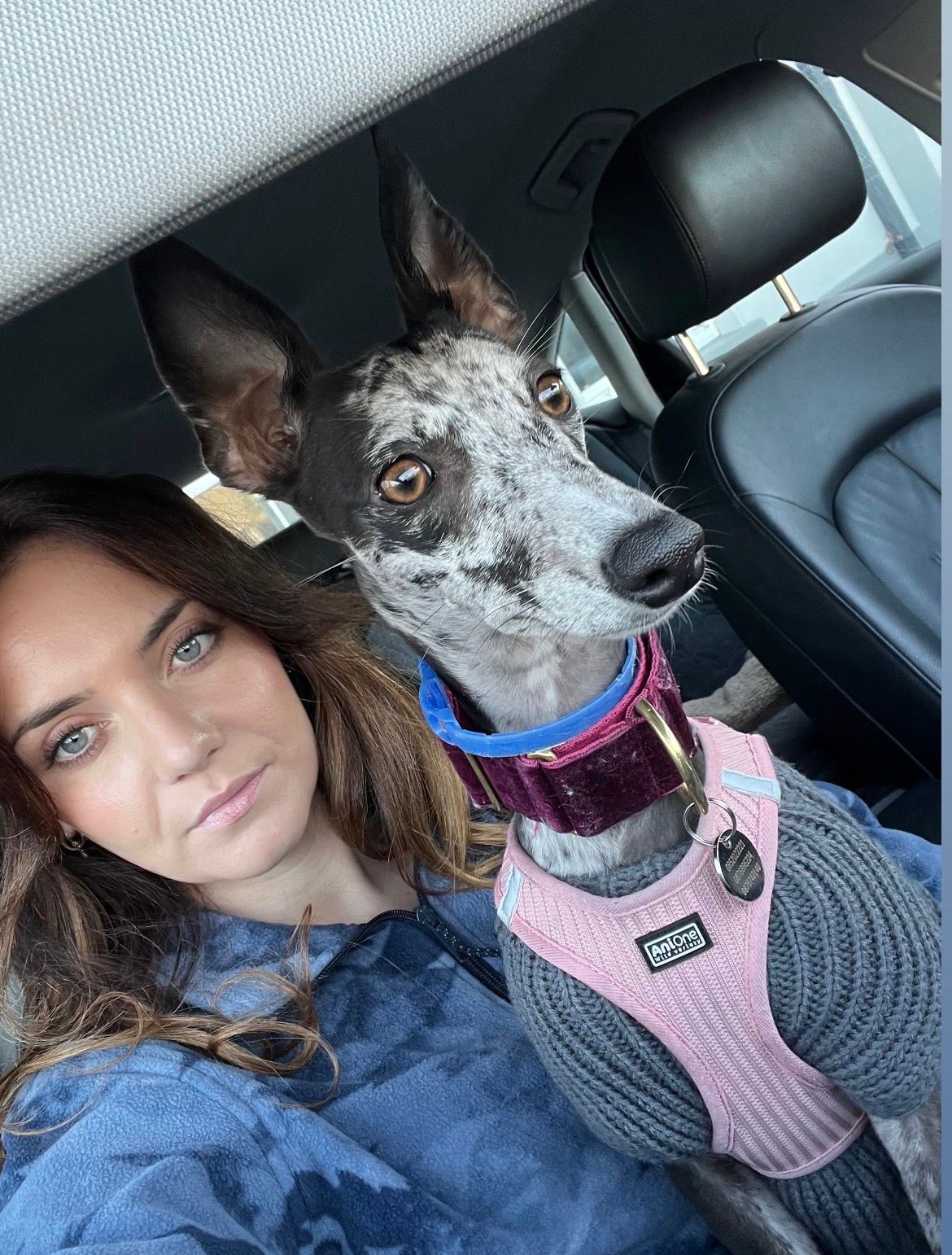image-6