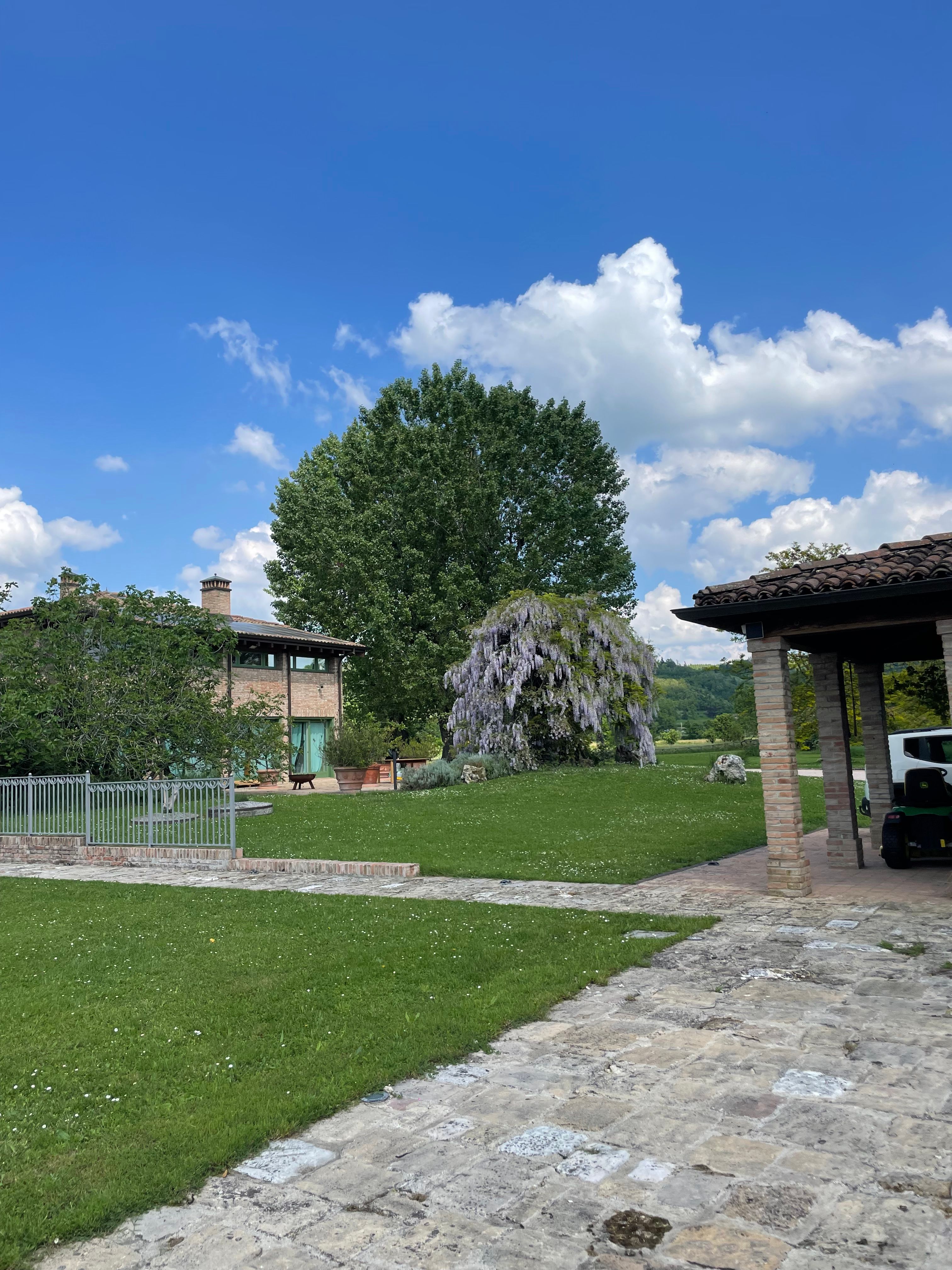 image-24