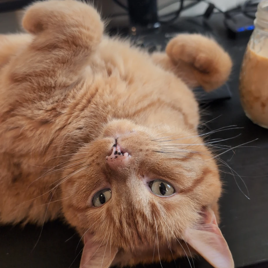 Leo