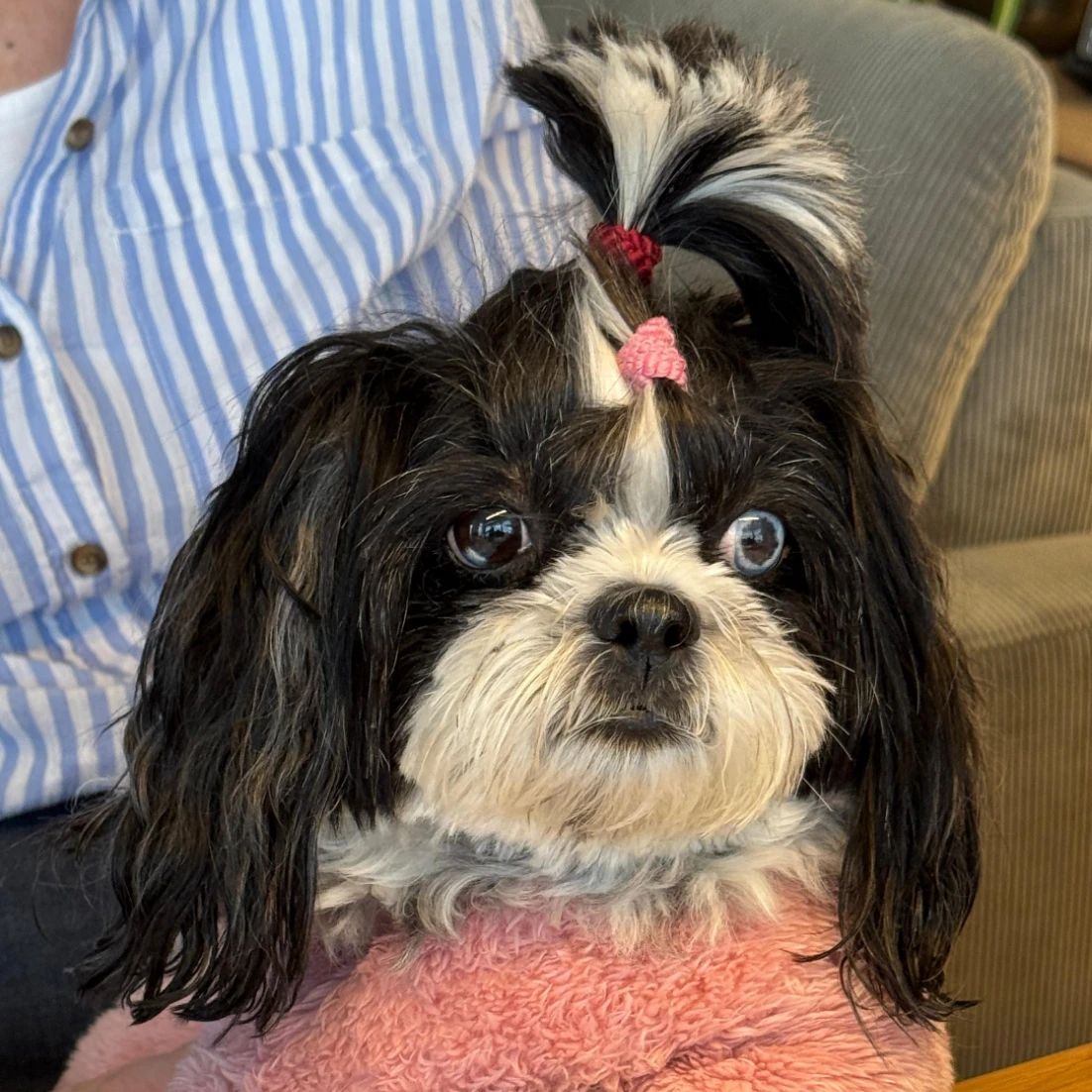 Lola