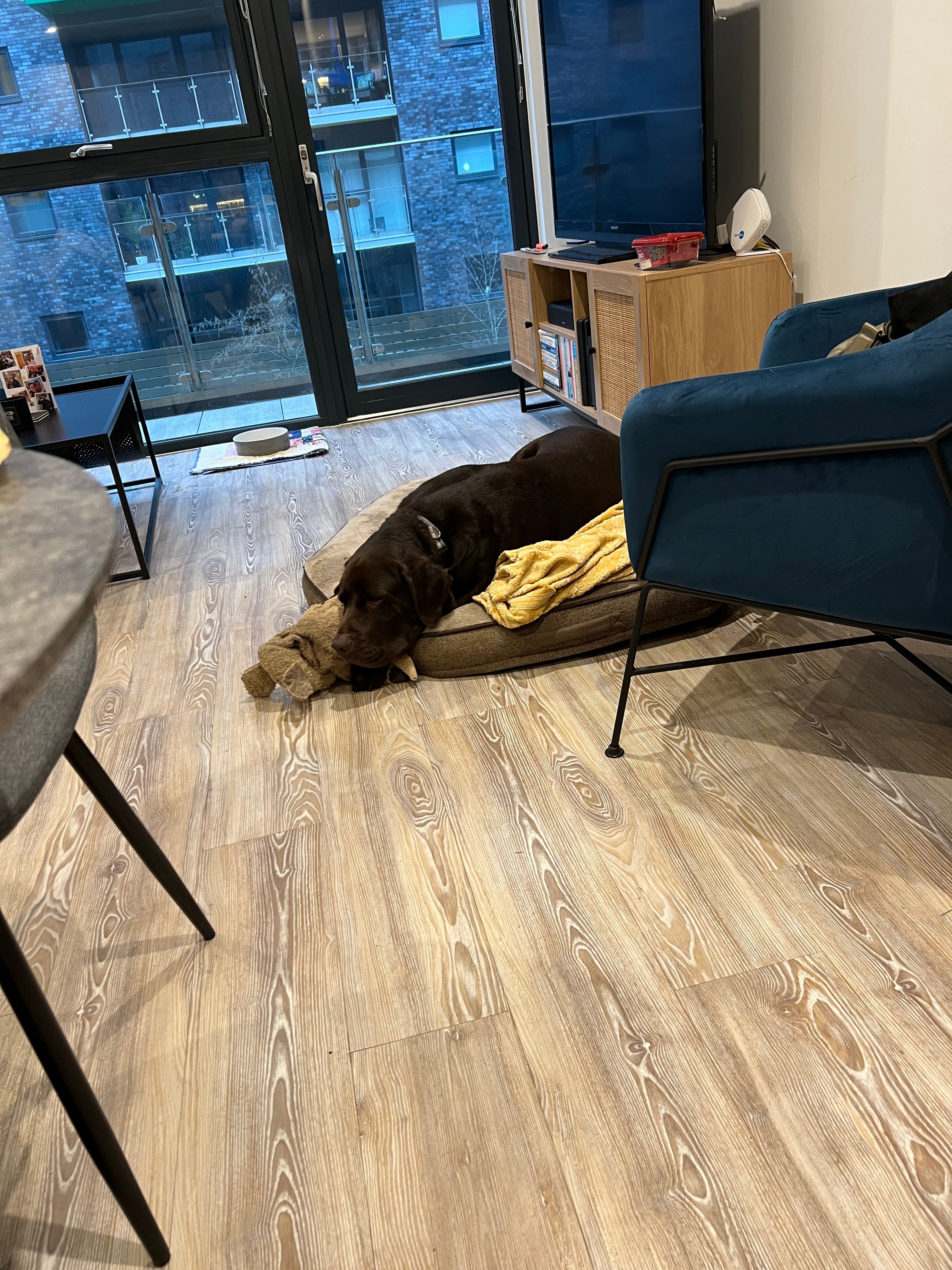 image-16