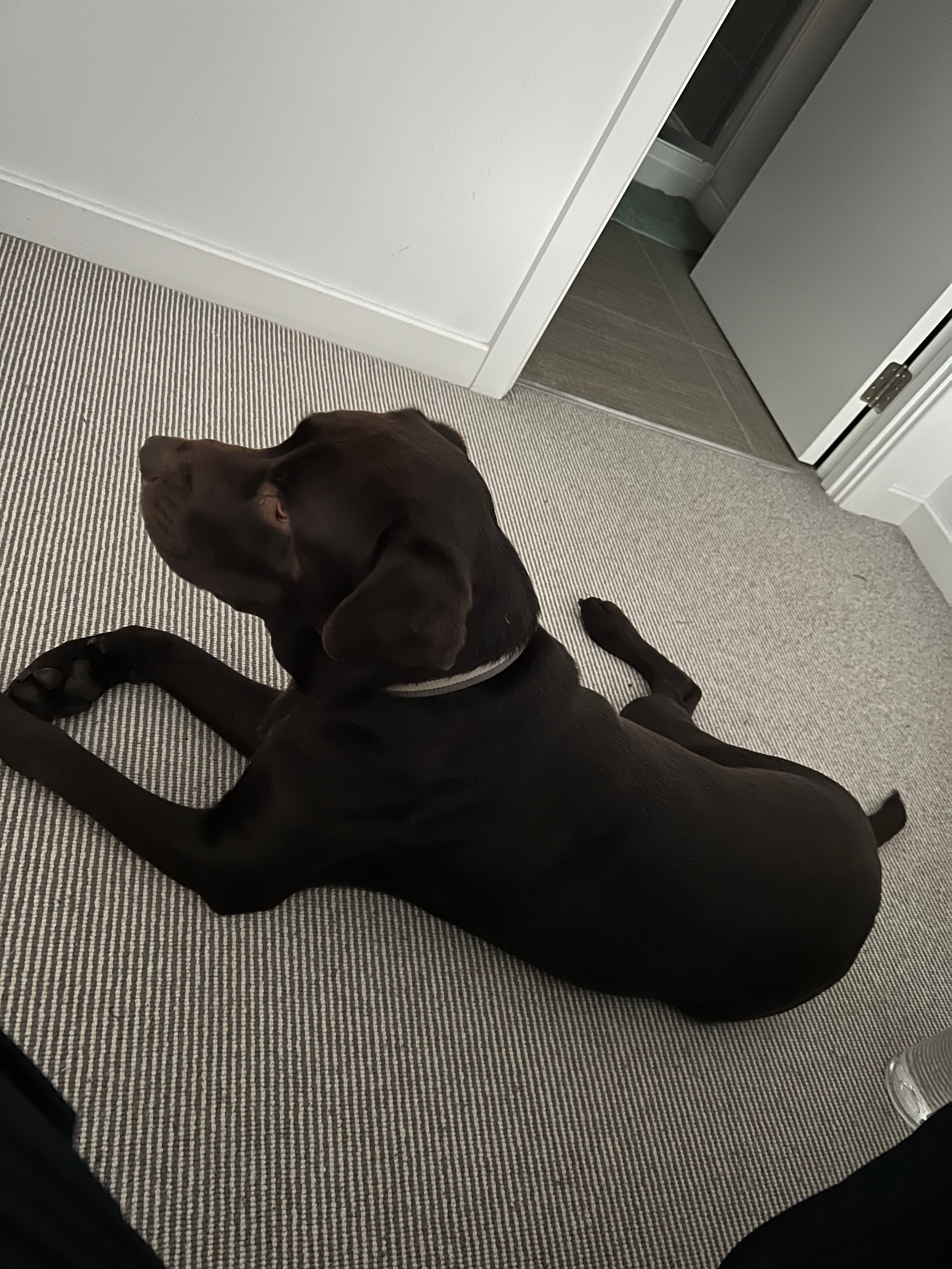 image-12