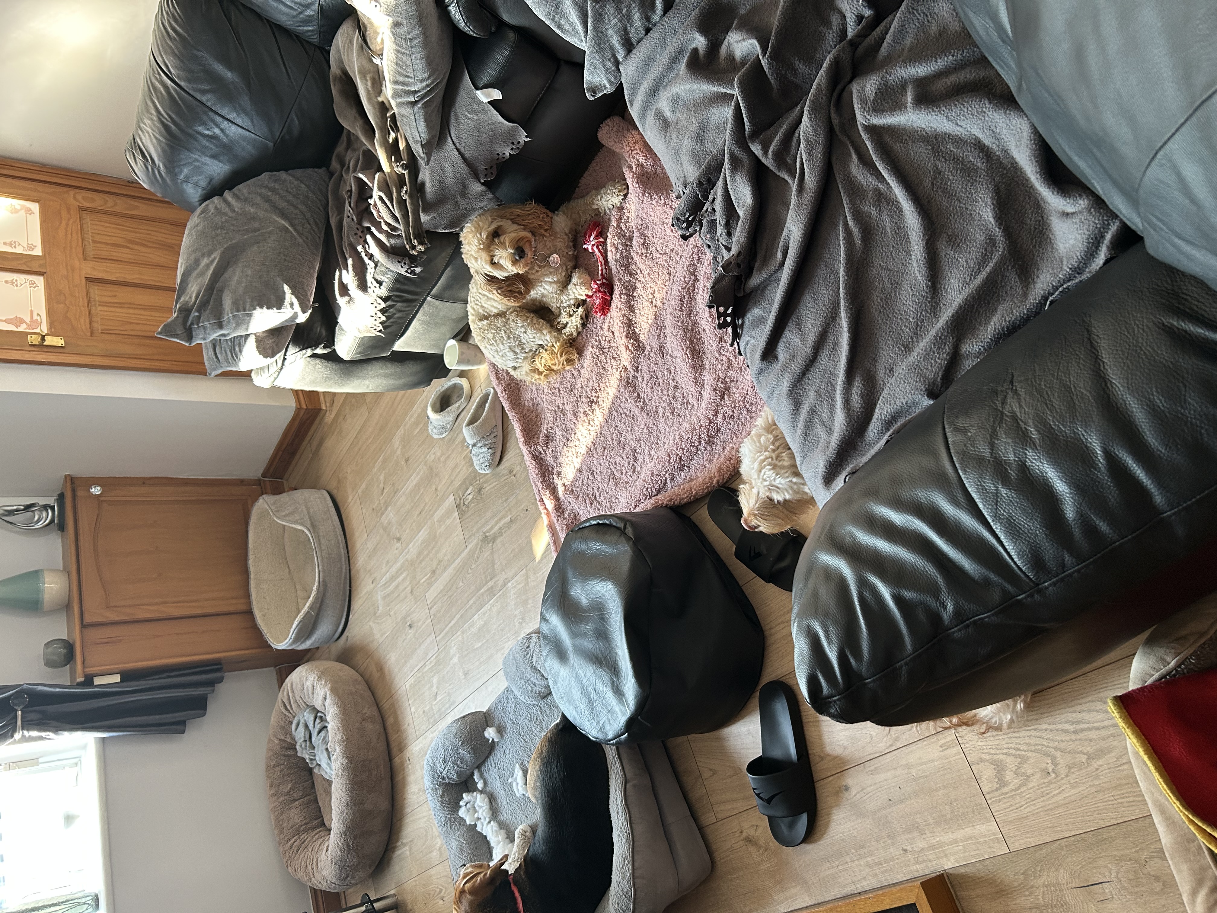 image-9