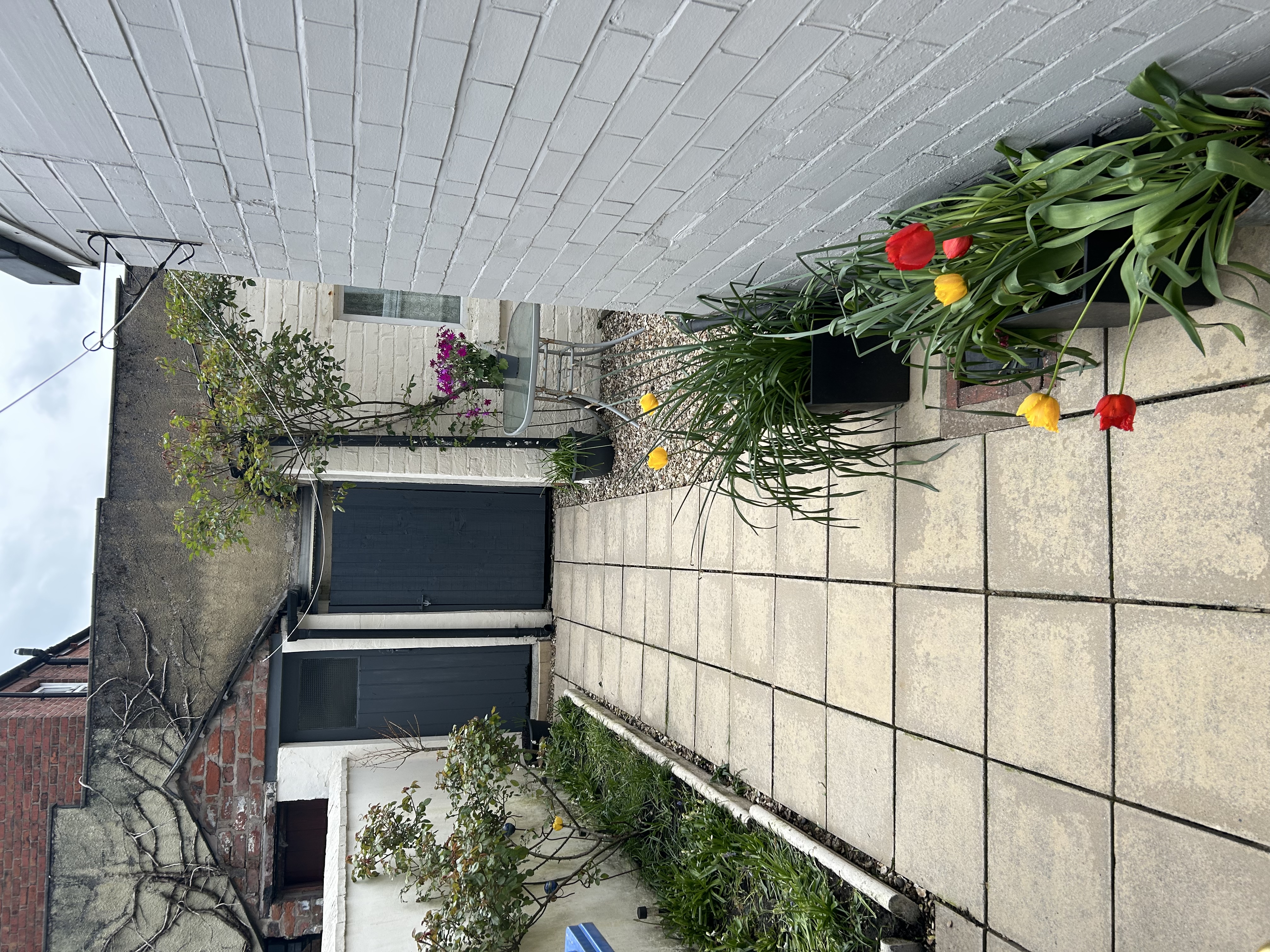 image-25