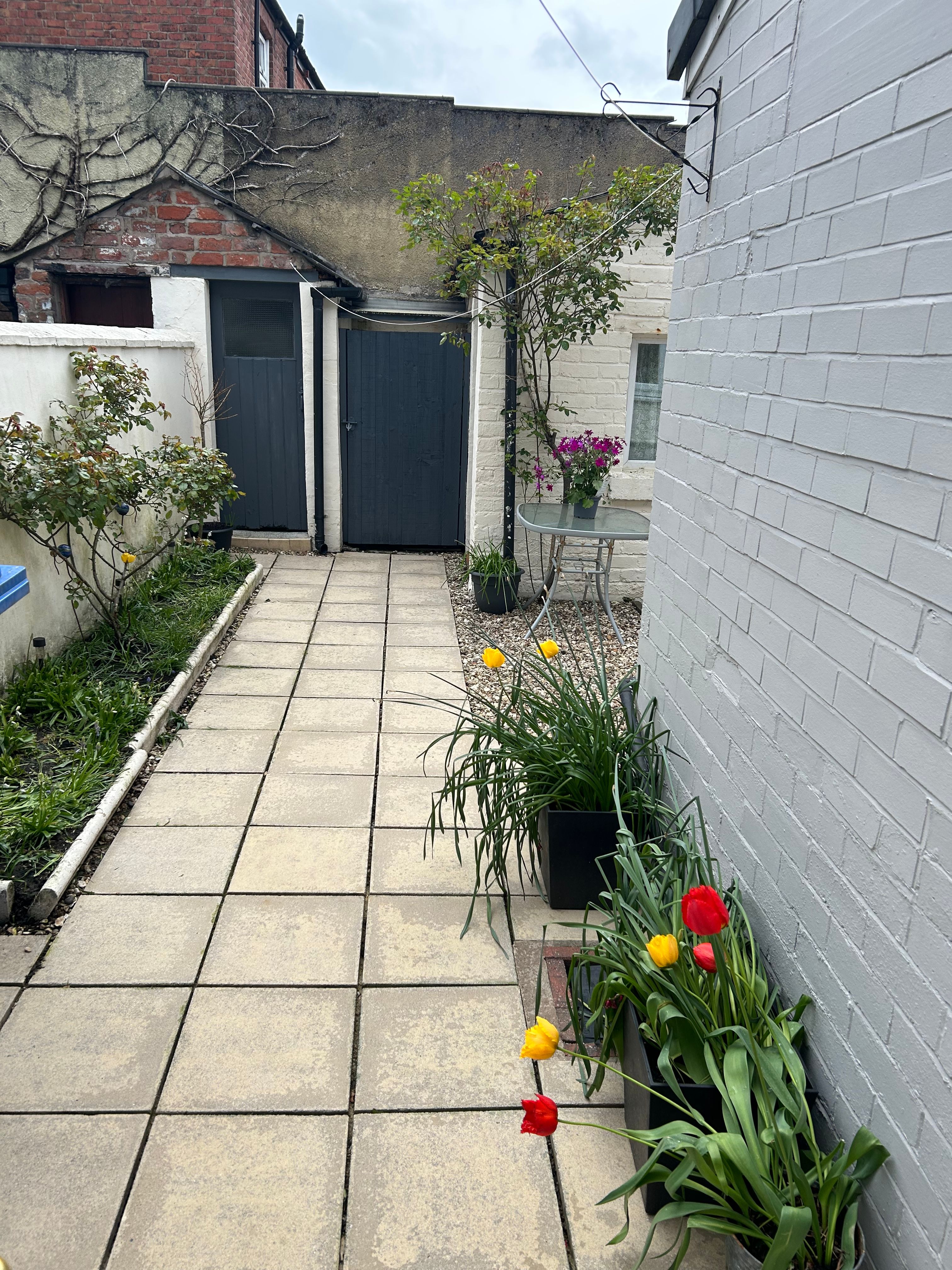 image-25
