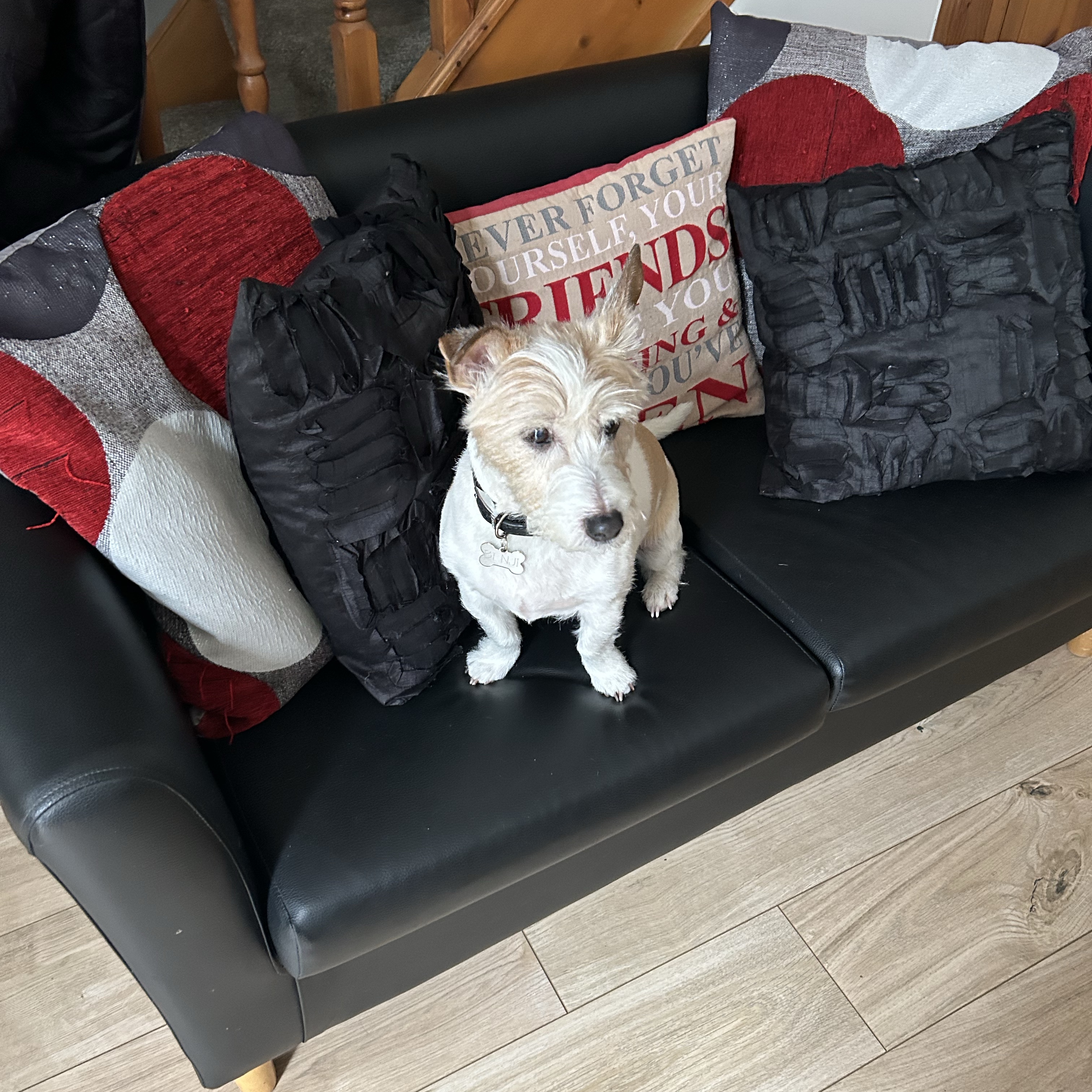 Benji