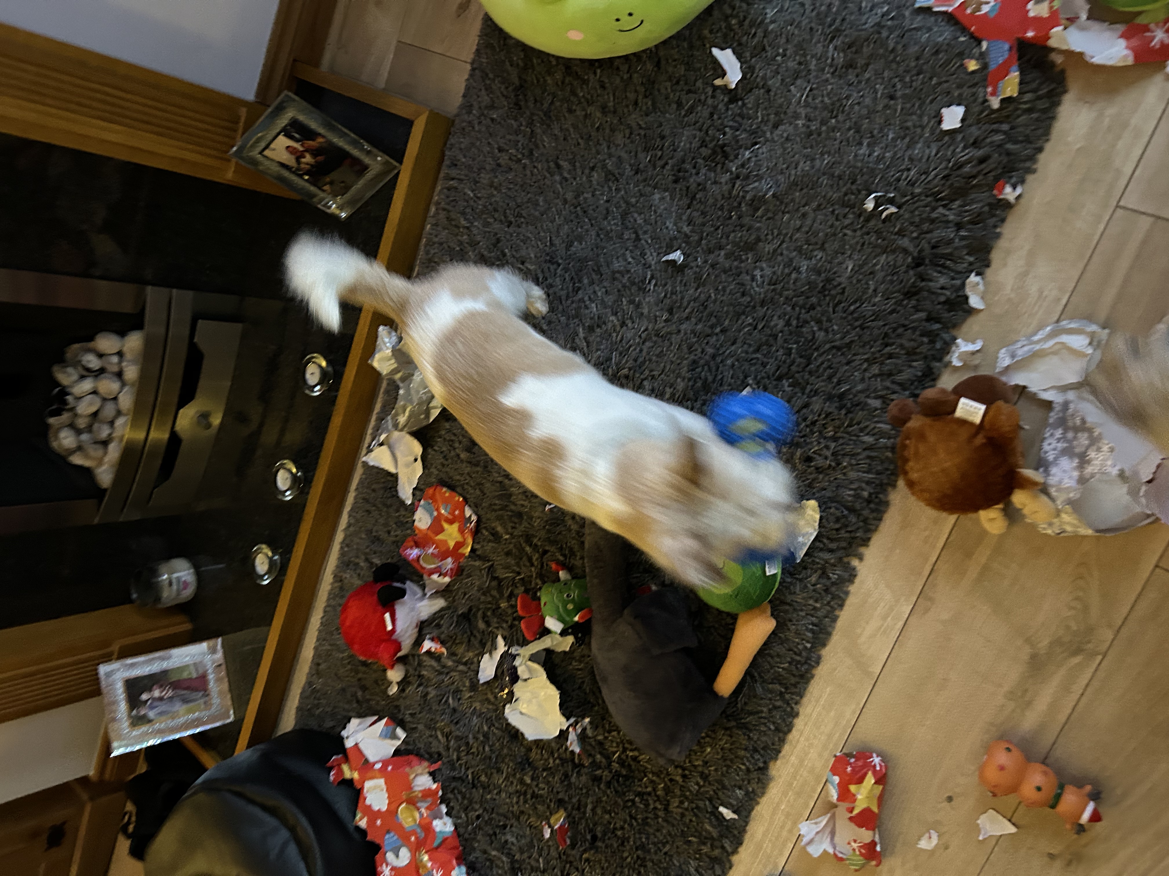 image-17