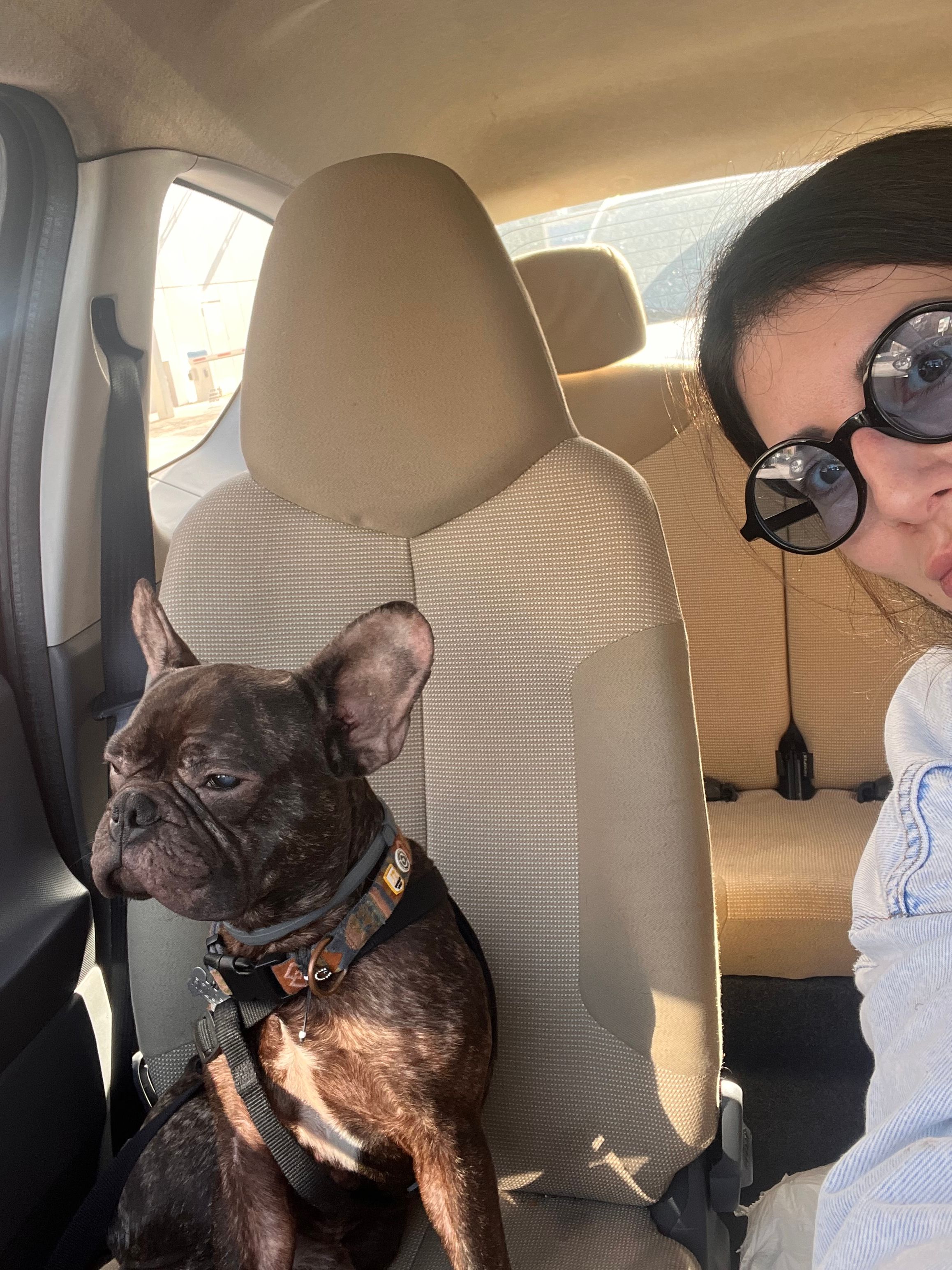 image-5