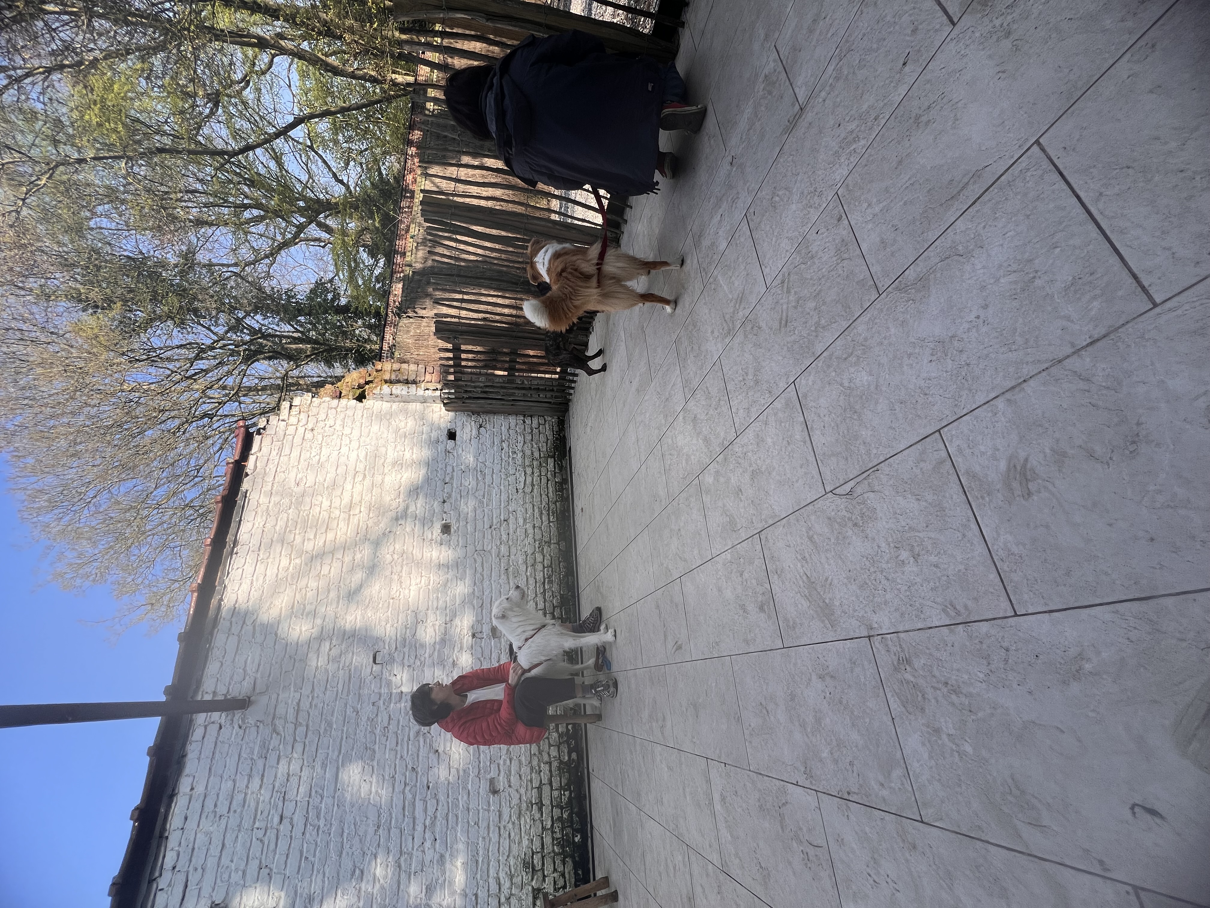 image-11
