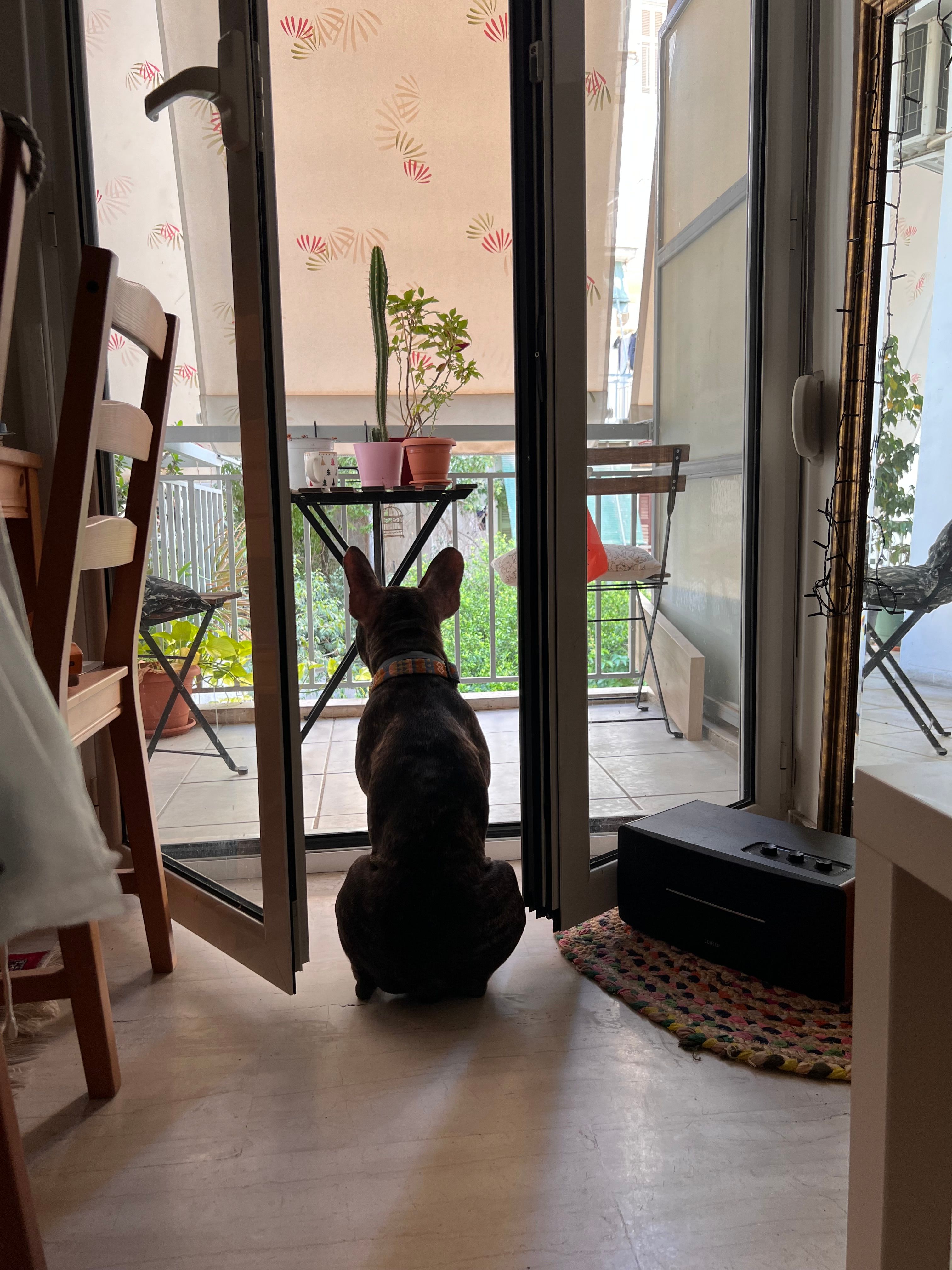 image-7