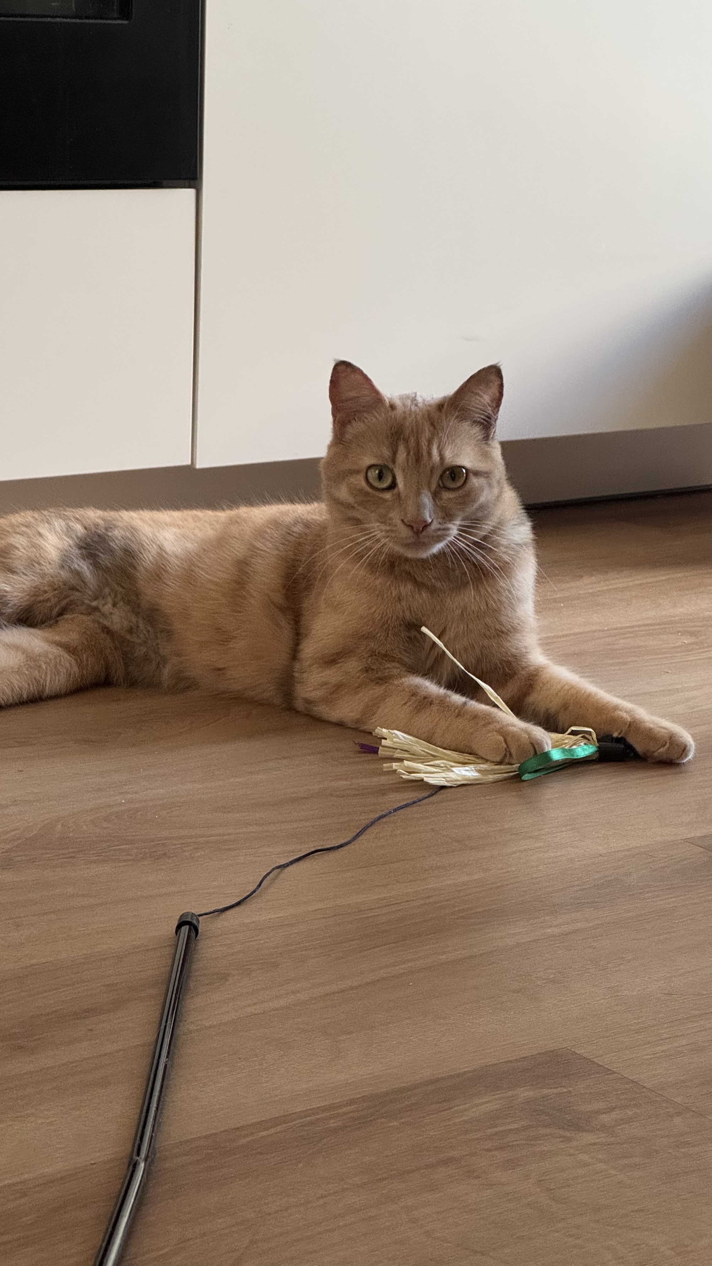 image-11