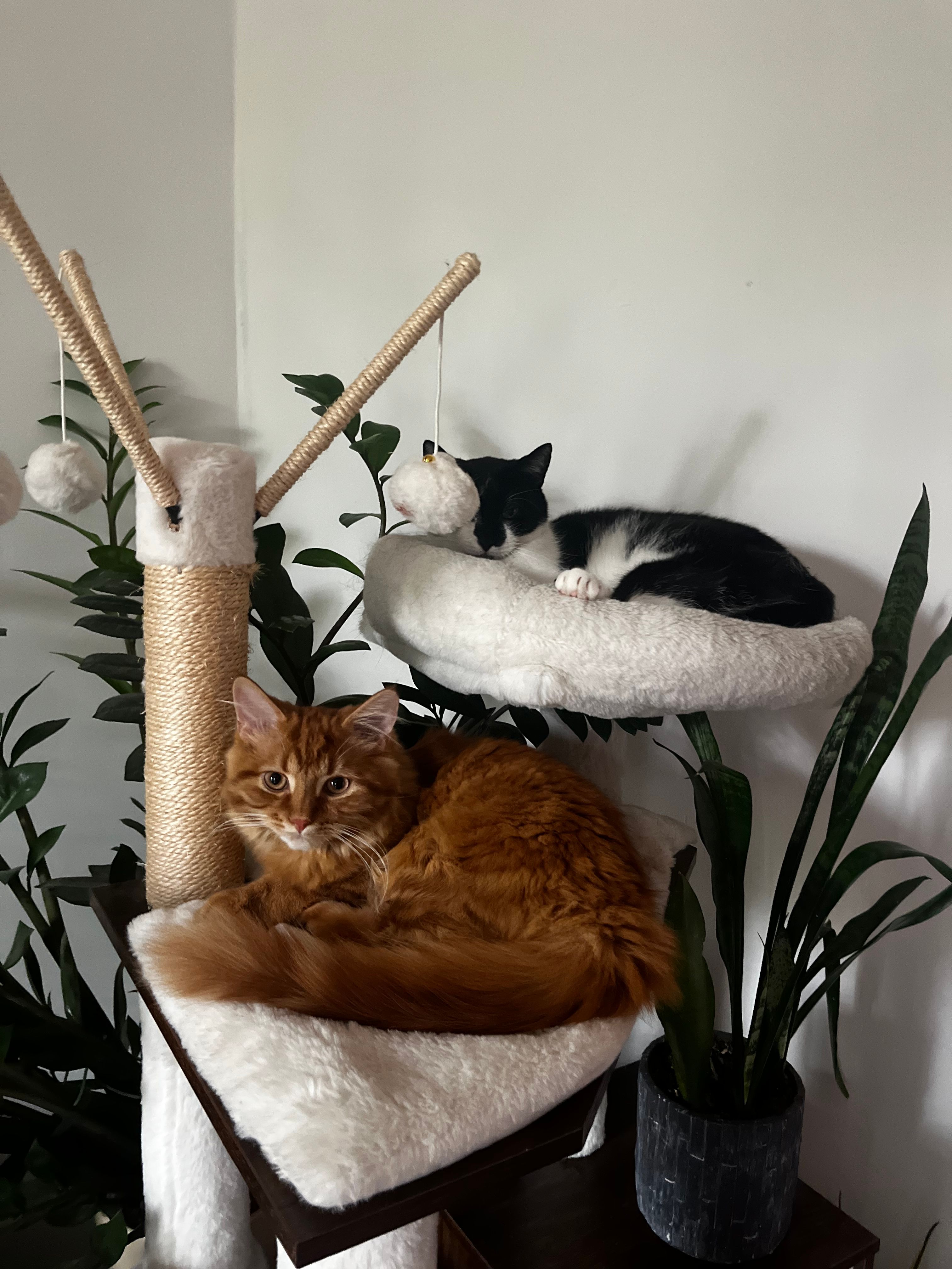 image-13