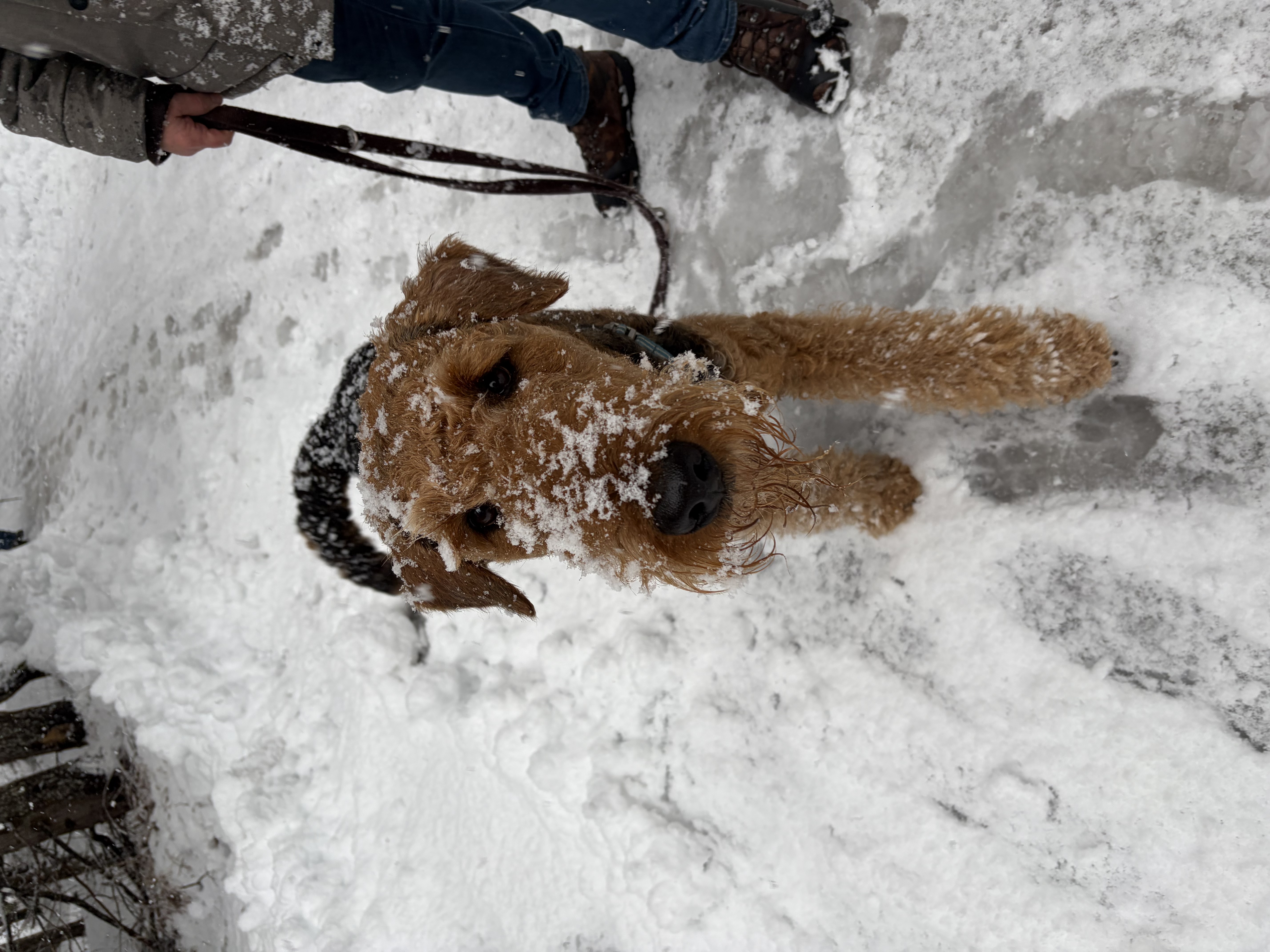 image-5