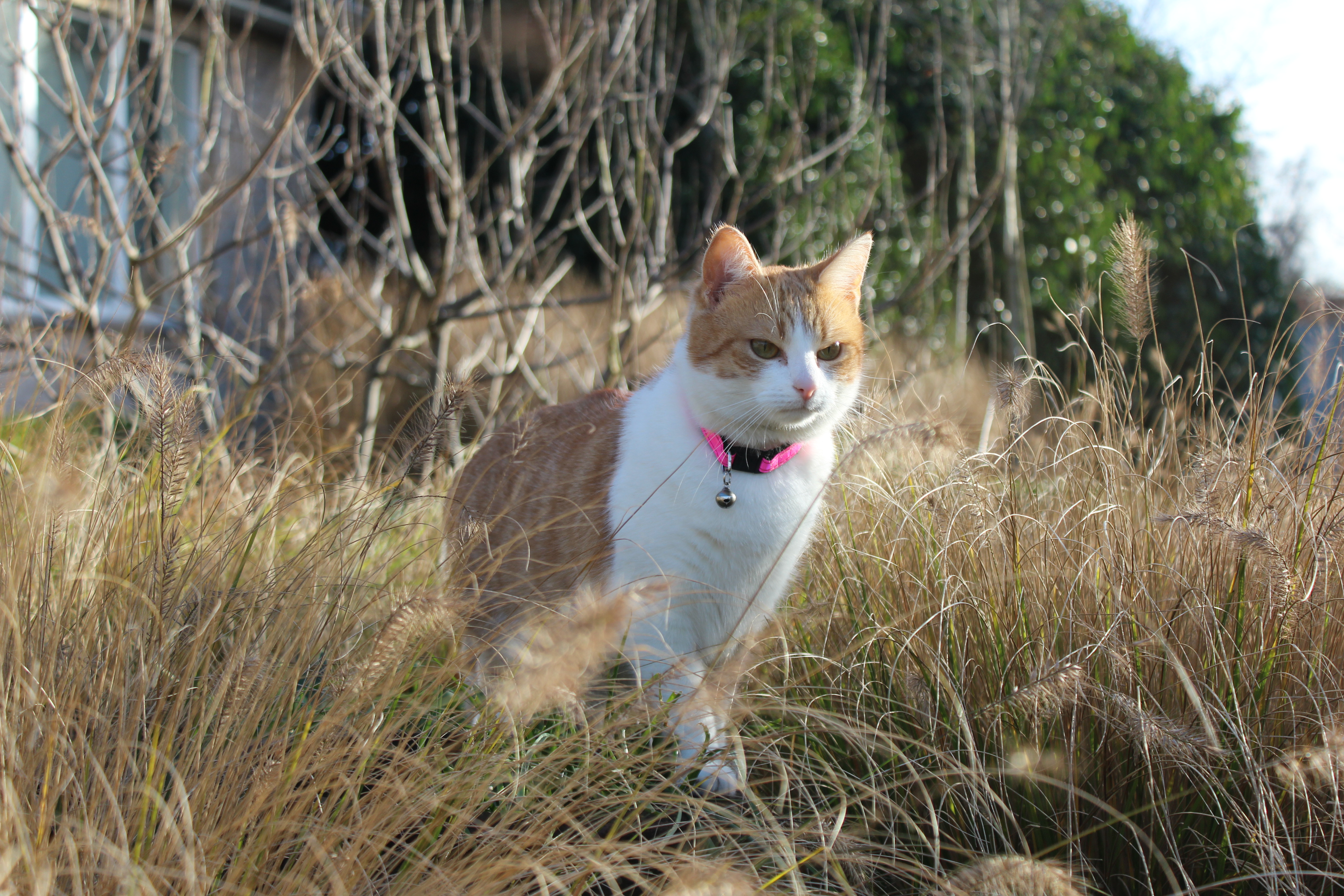 image-9