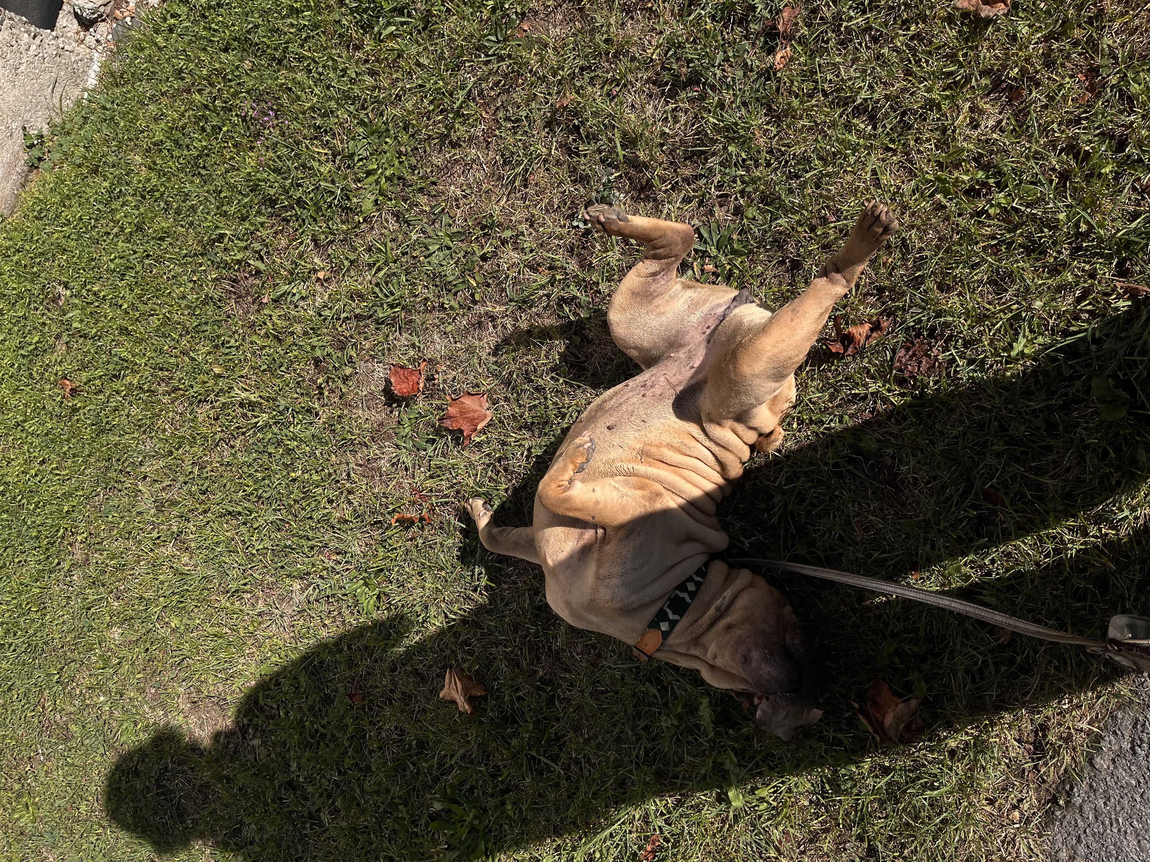 image-6