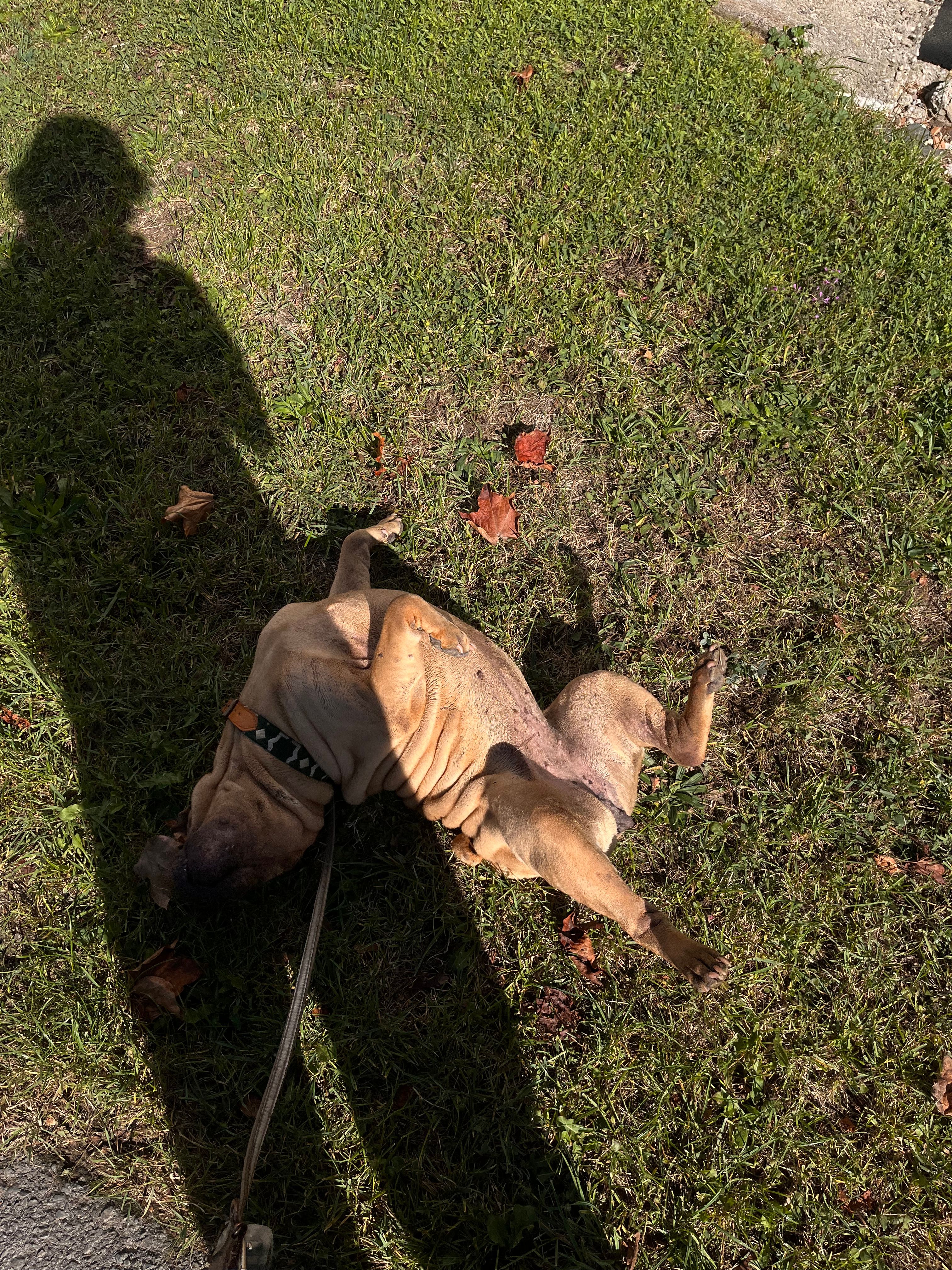 image-6