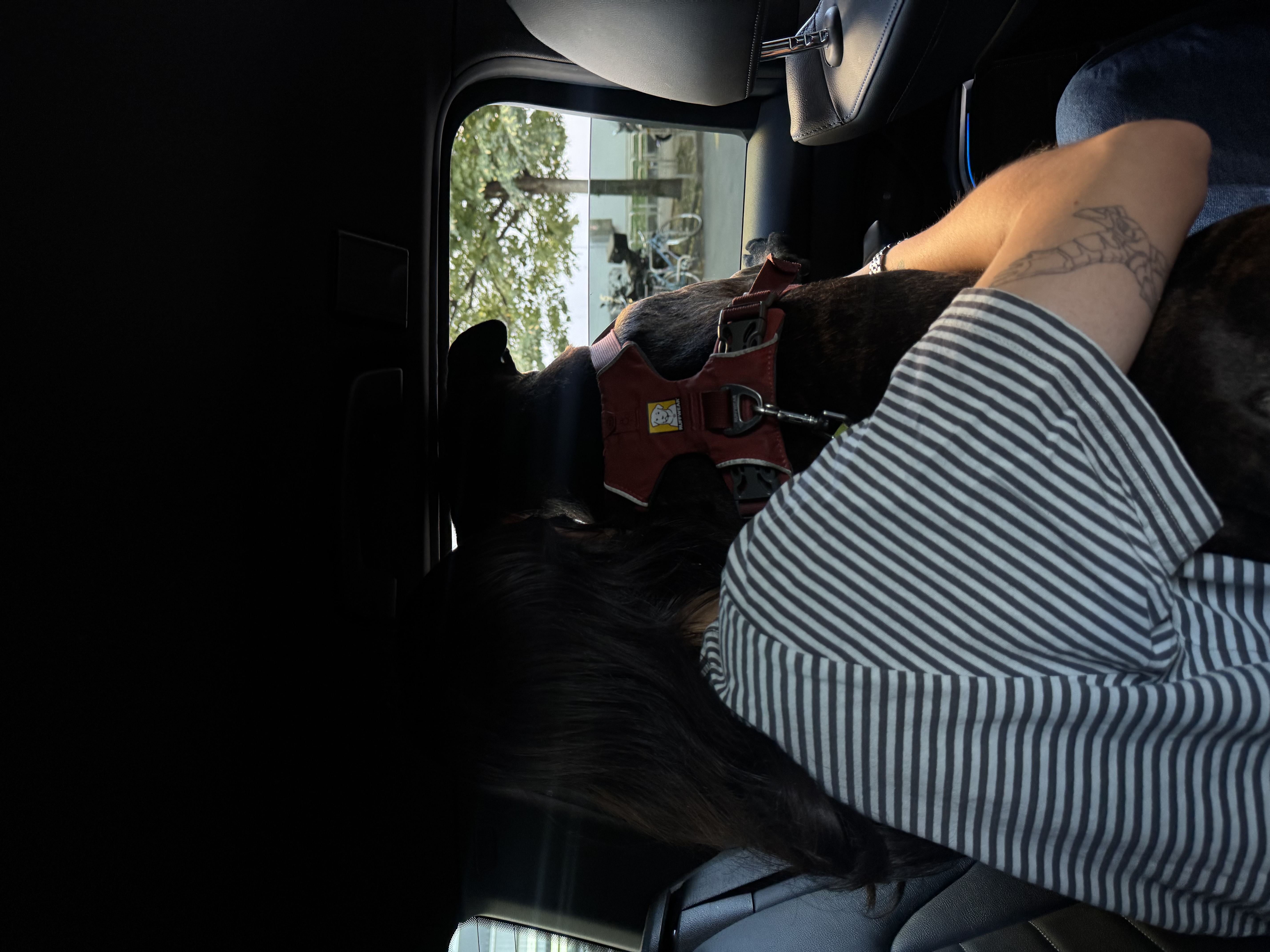 image-4