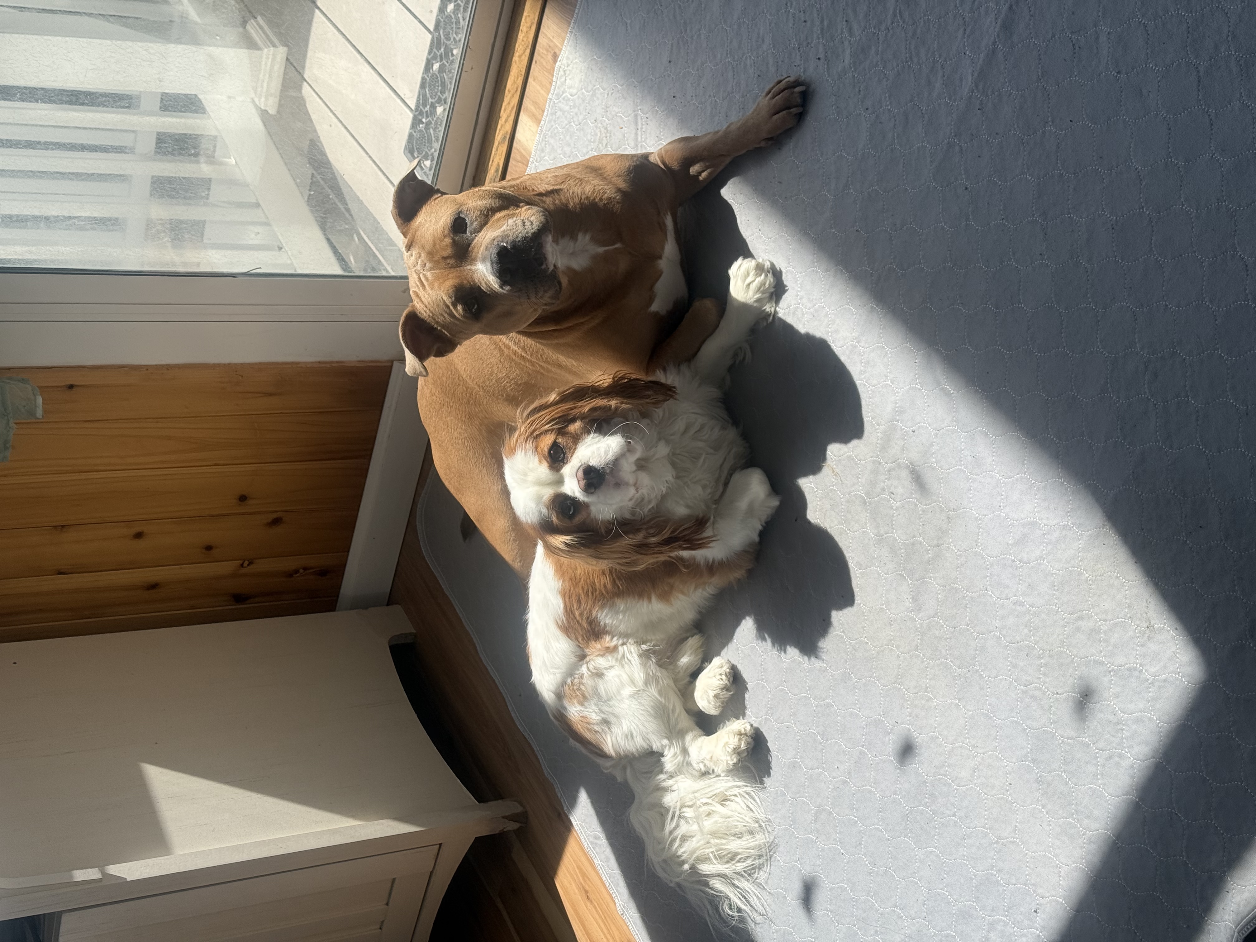 image-7