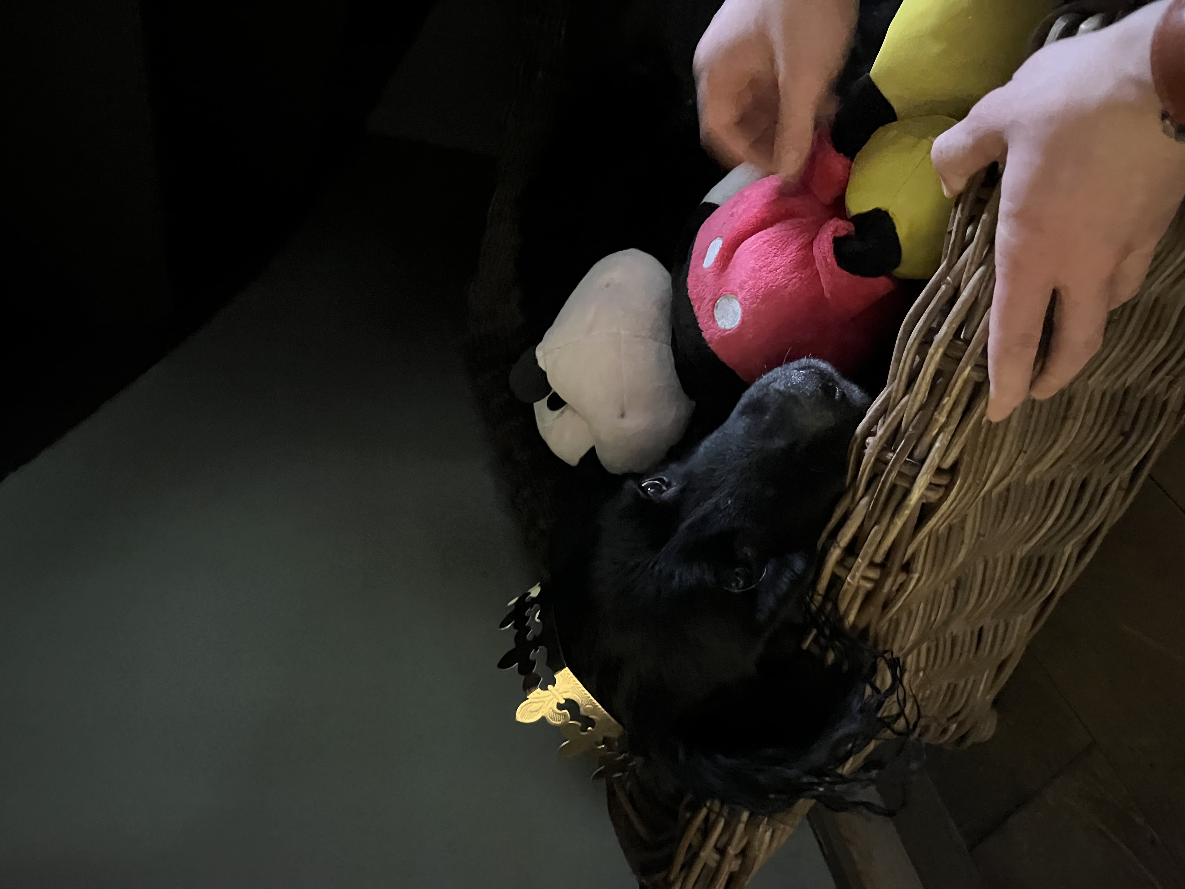 image-7