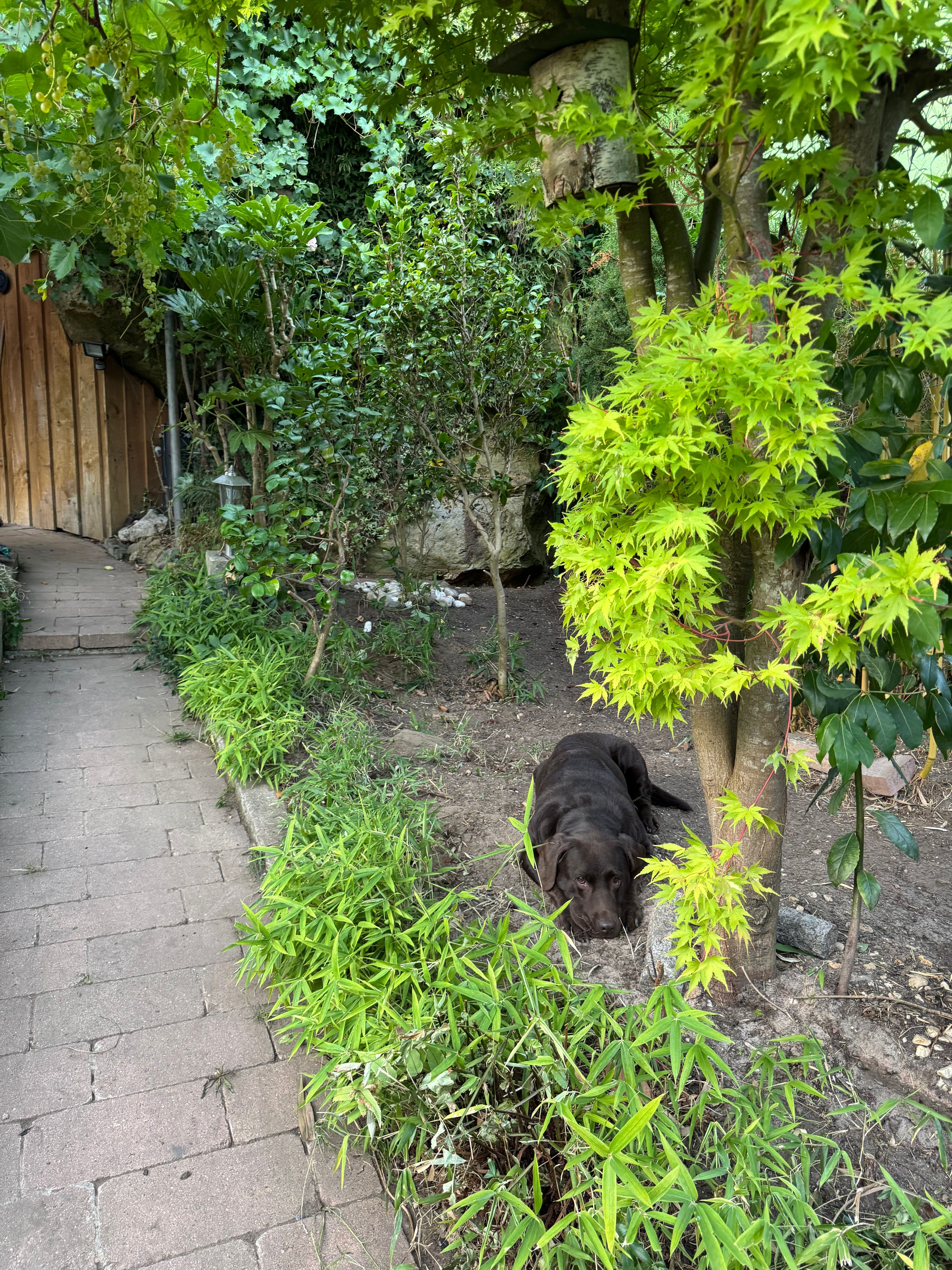 image-11