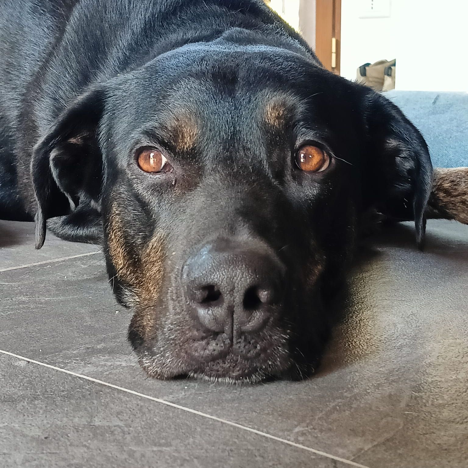 Paco