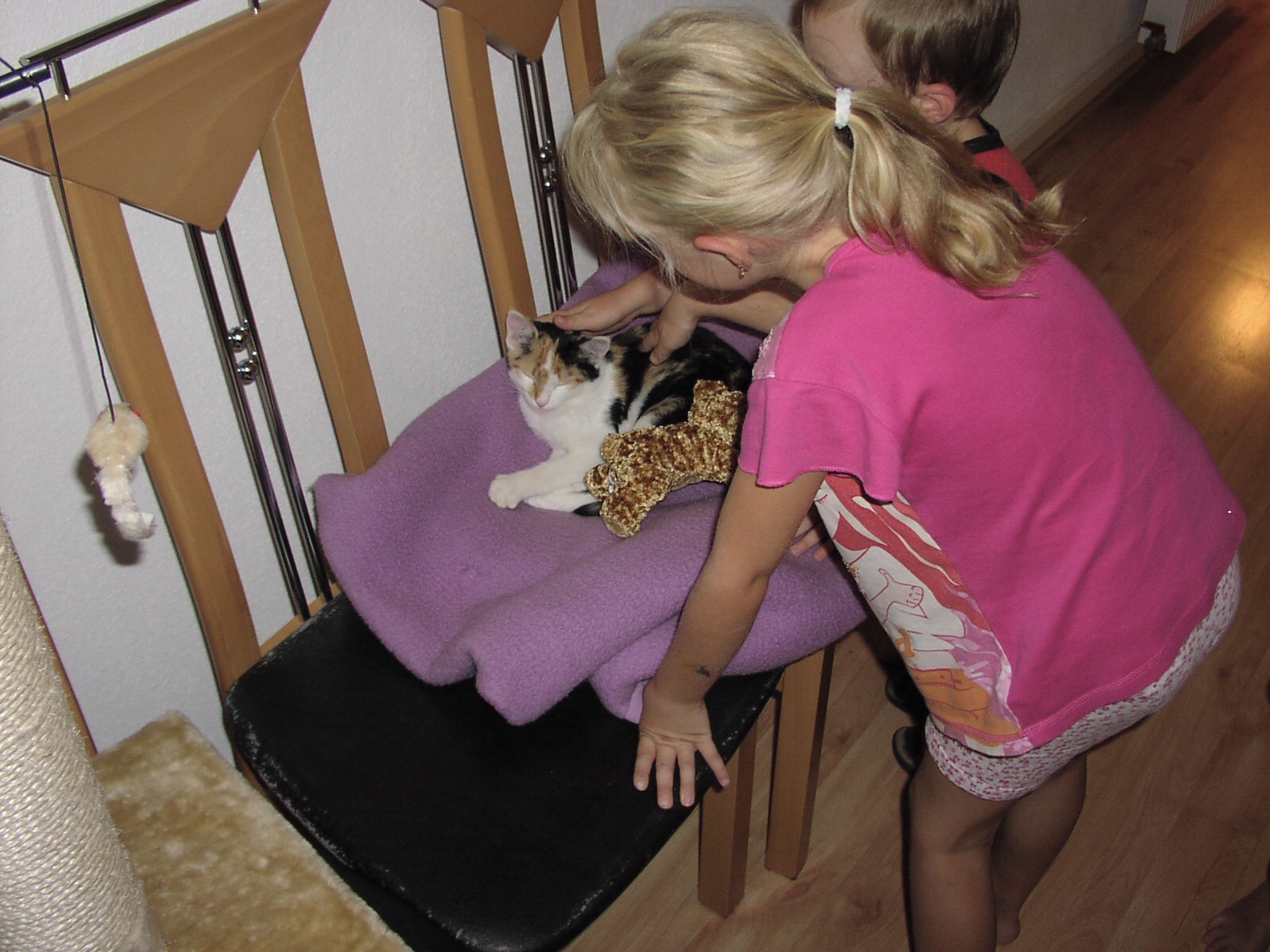 image-5