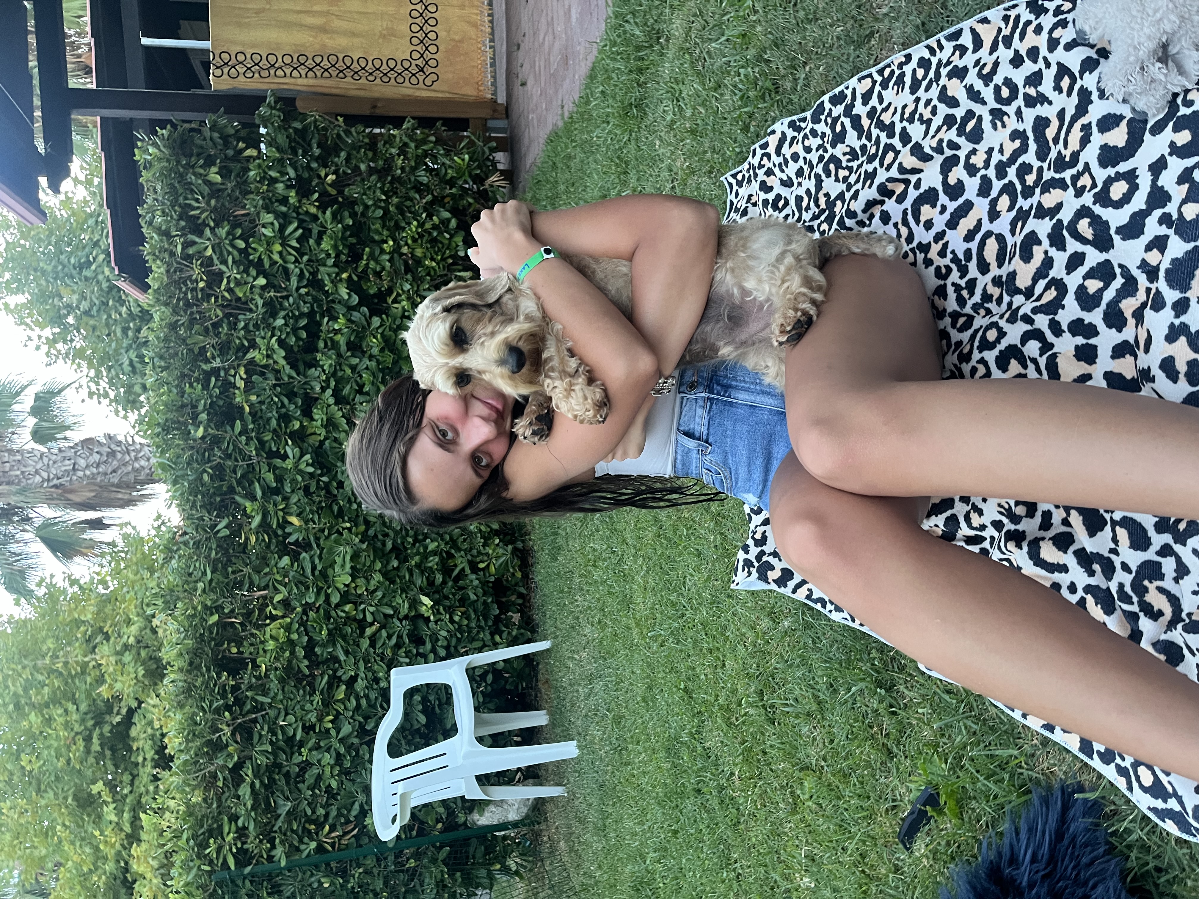 image-2