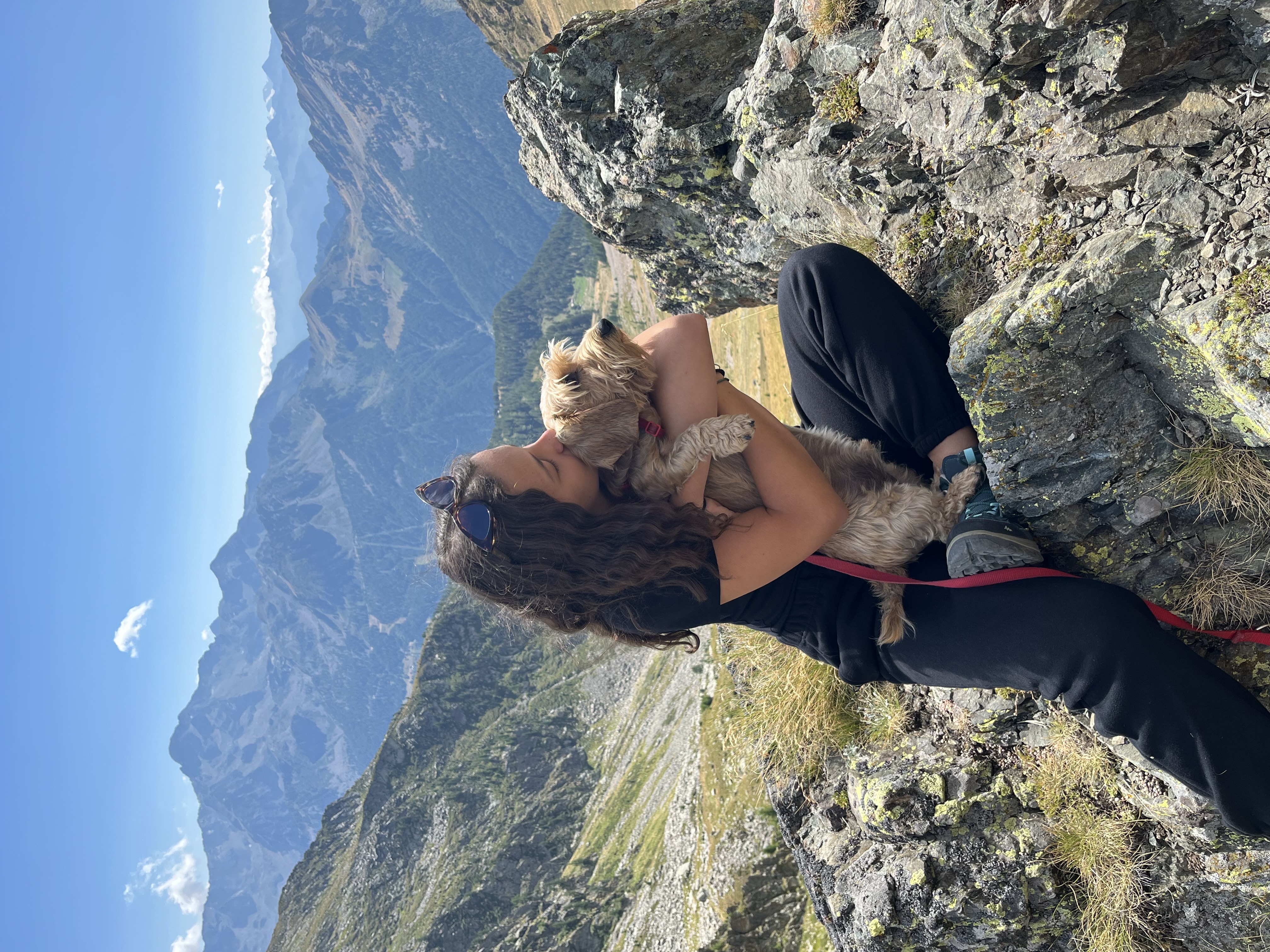 image-15