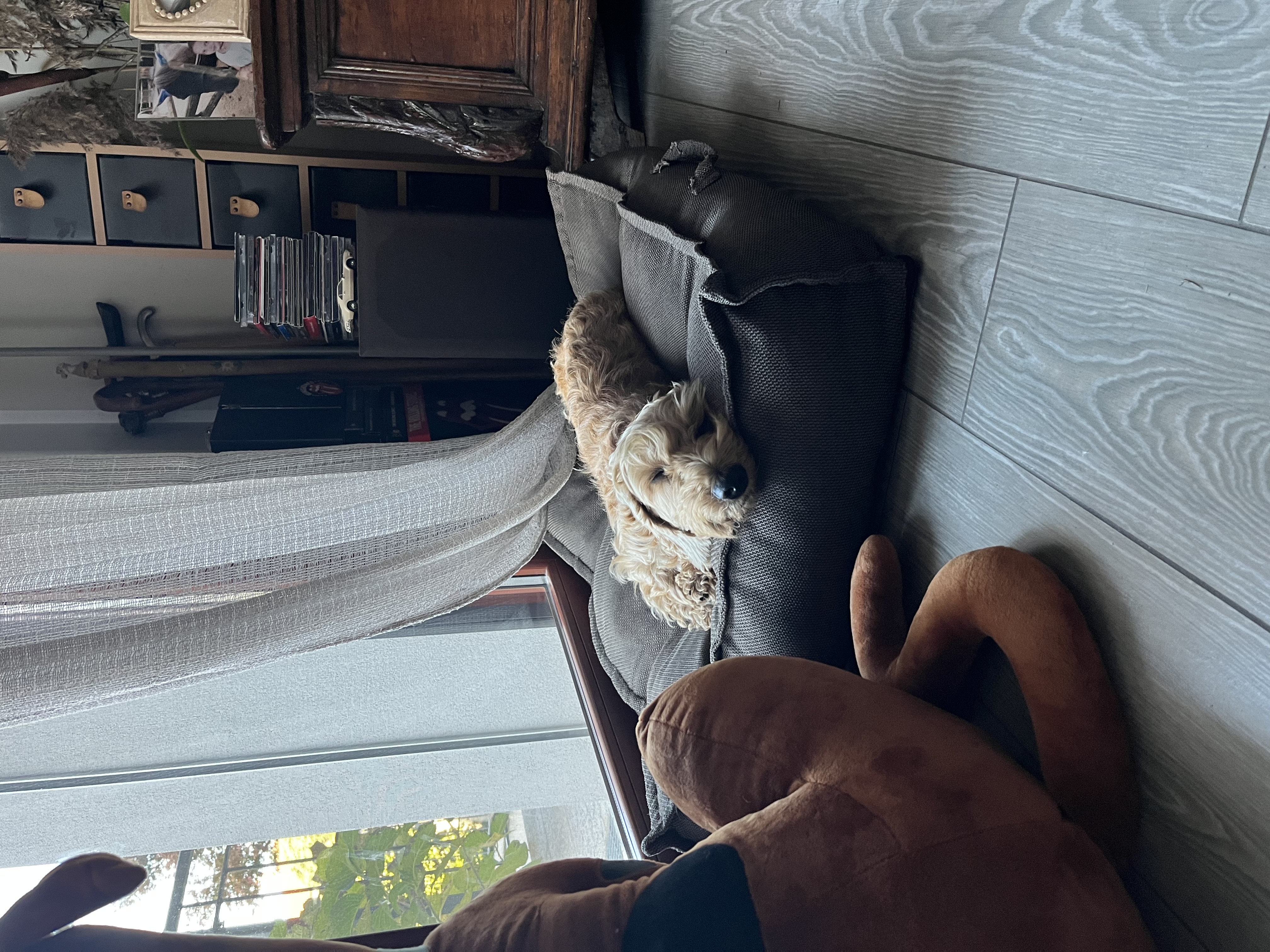 image-12