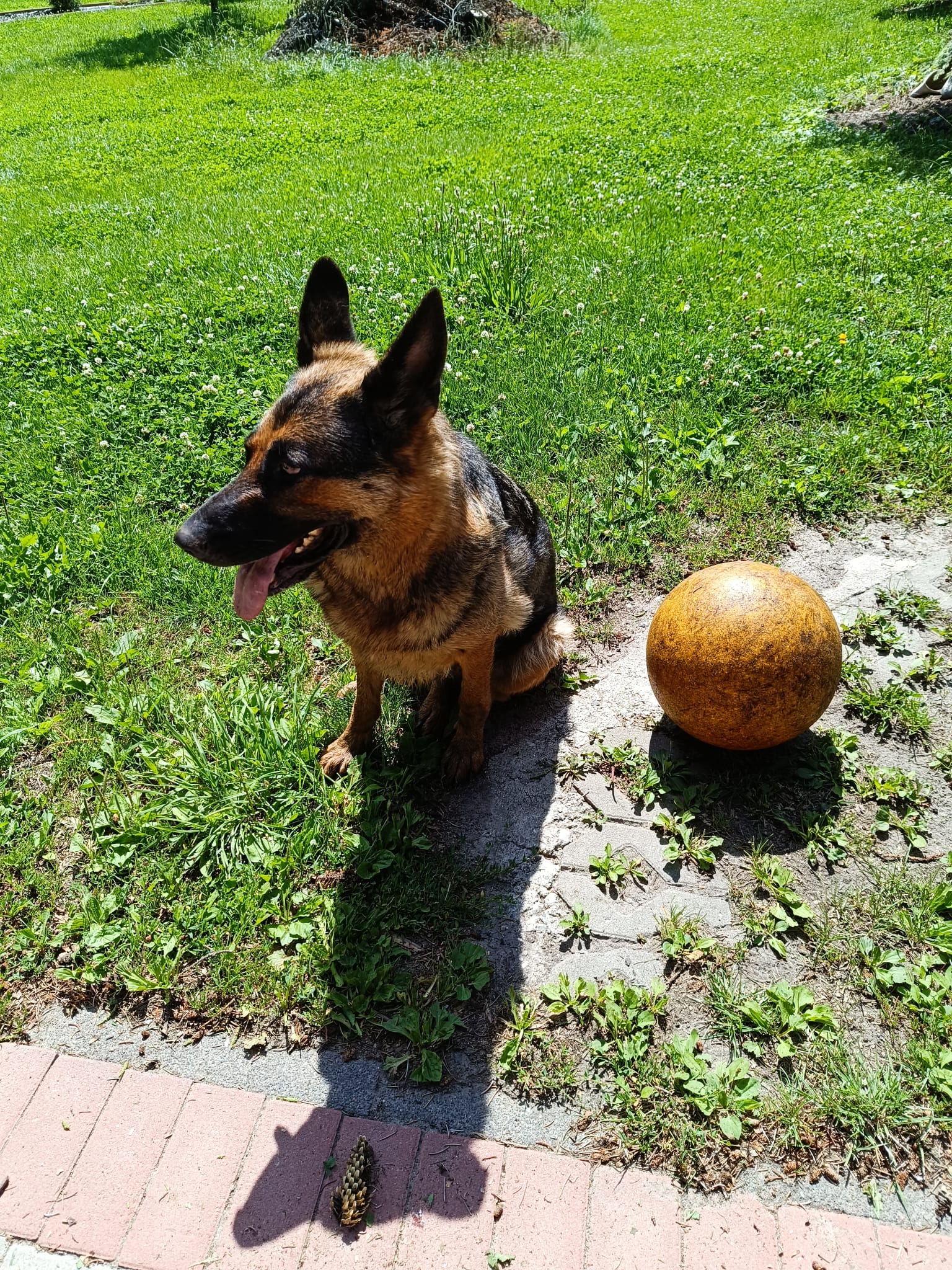 image-7