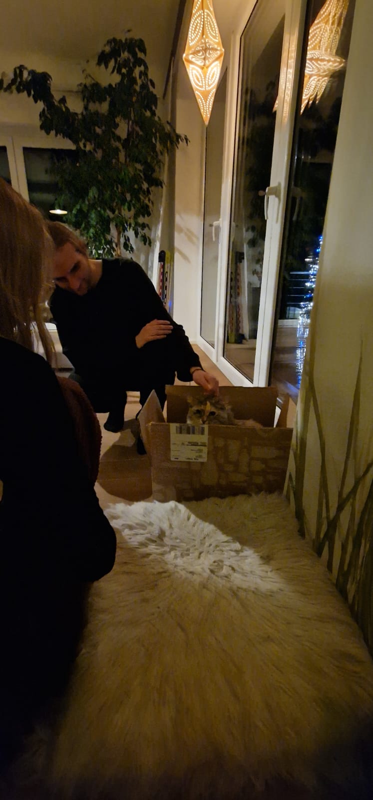 image-8