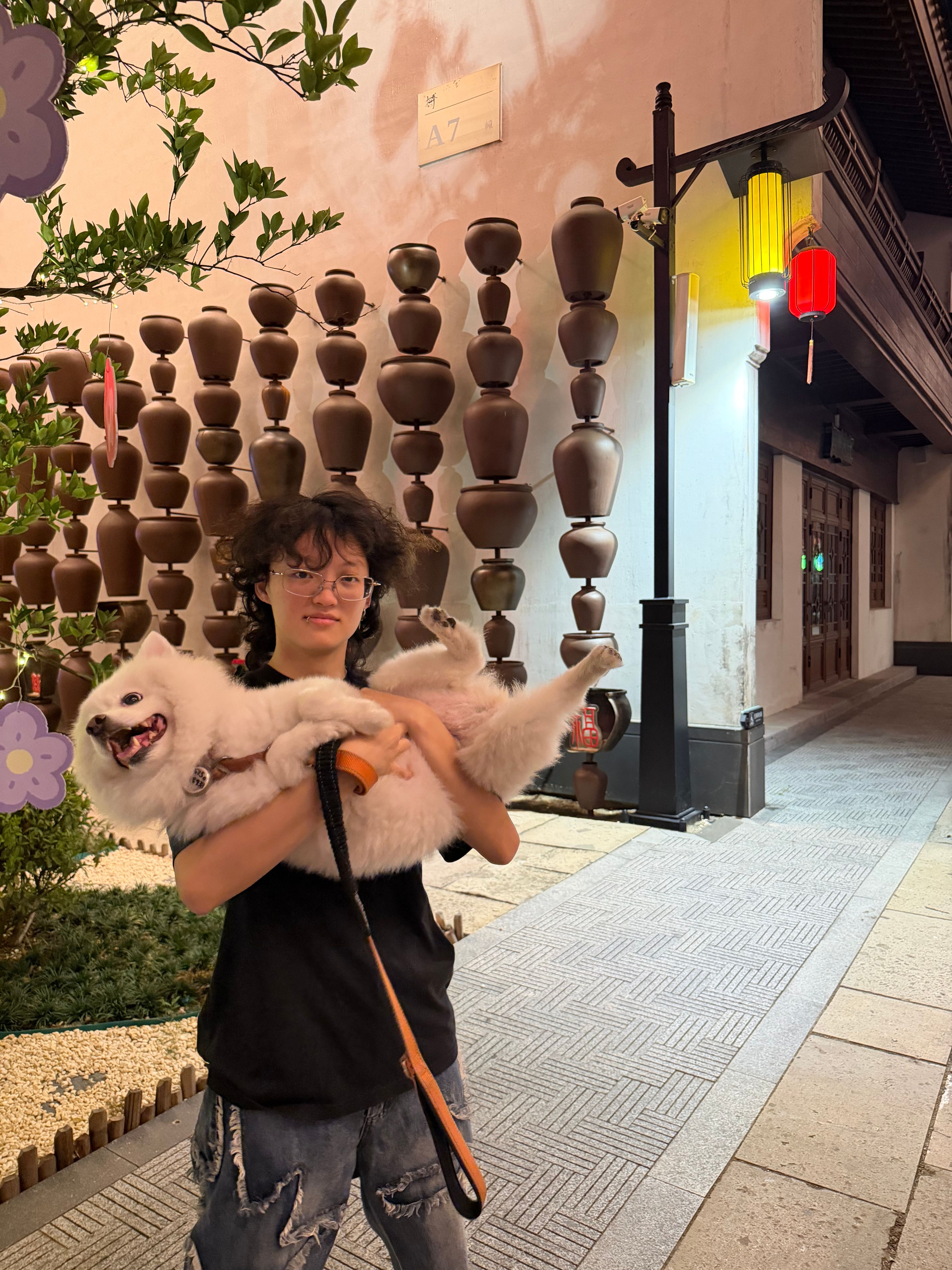 image-8