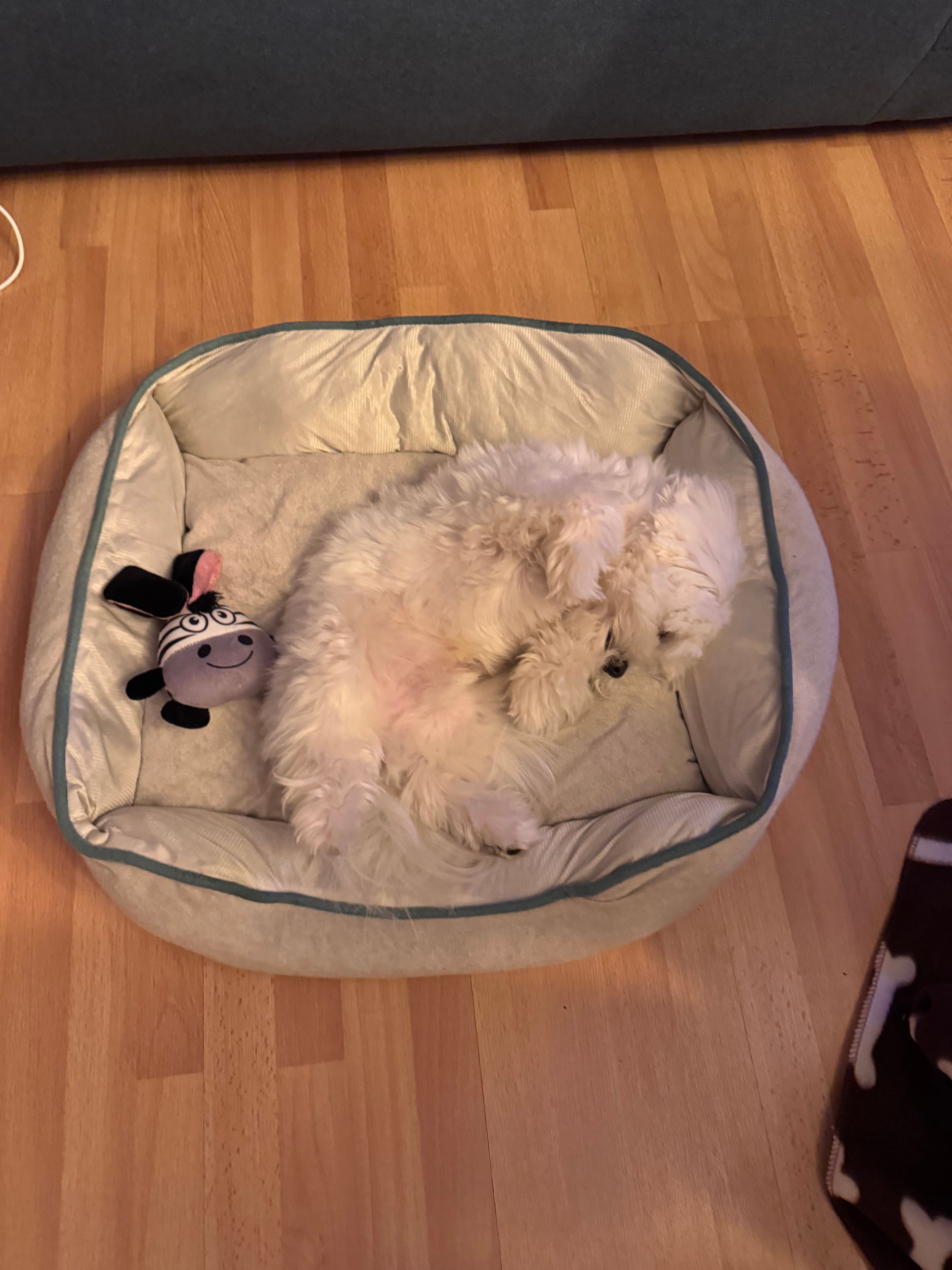 image-4